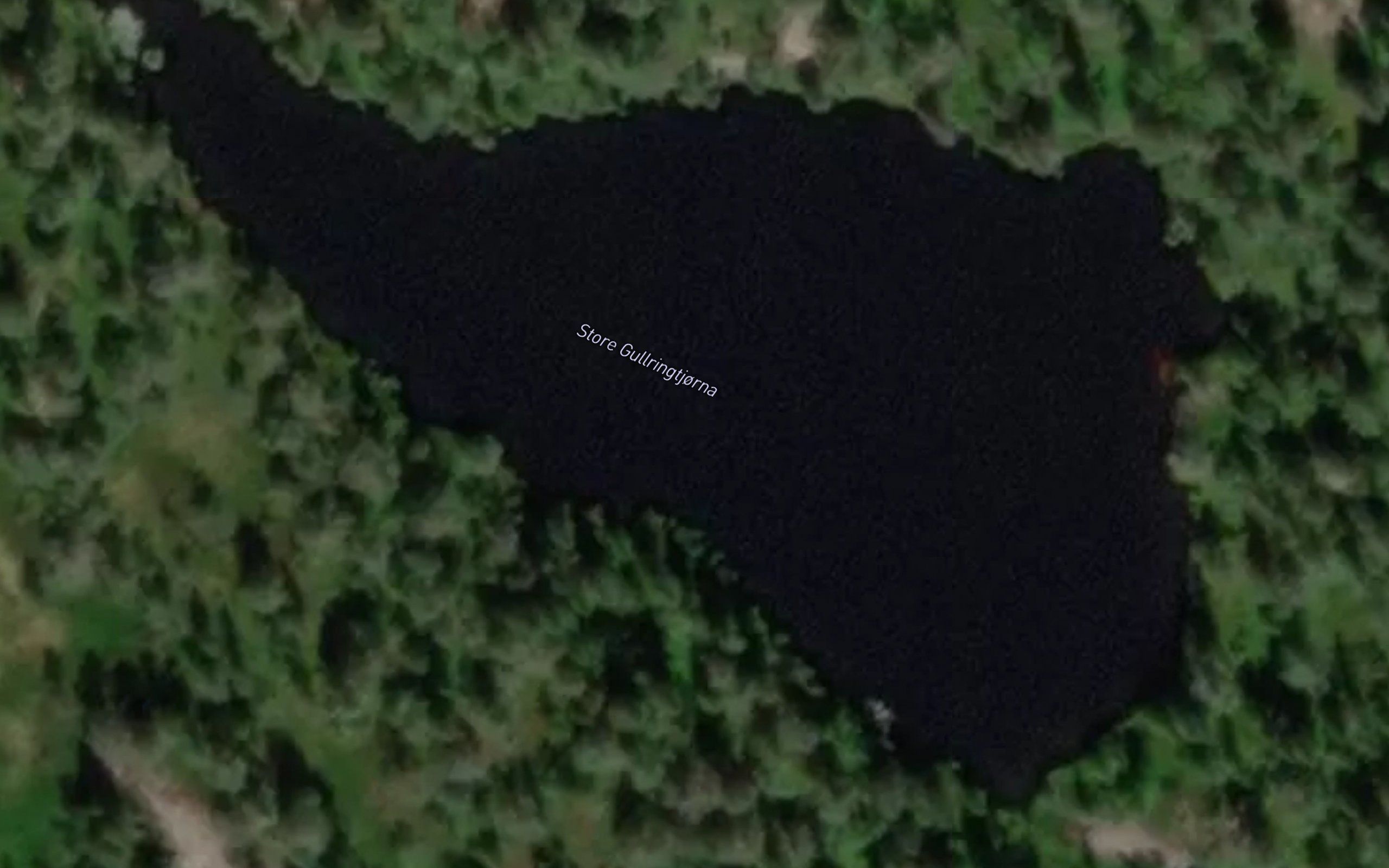 Store Gullringtjorna