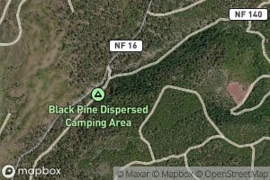 Black Pine Spring