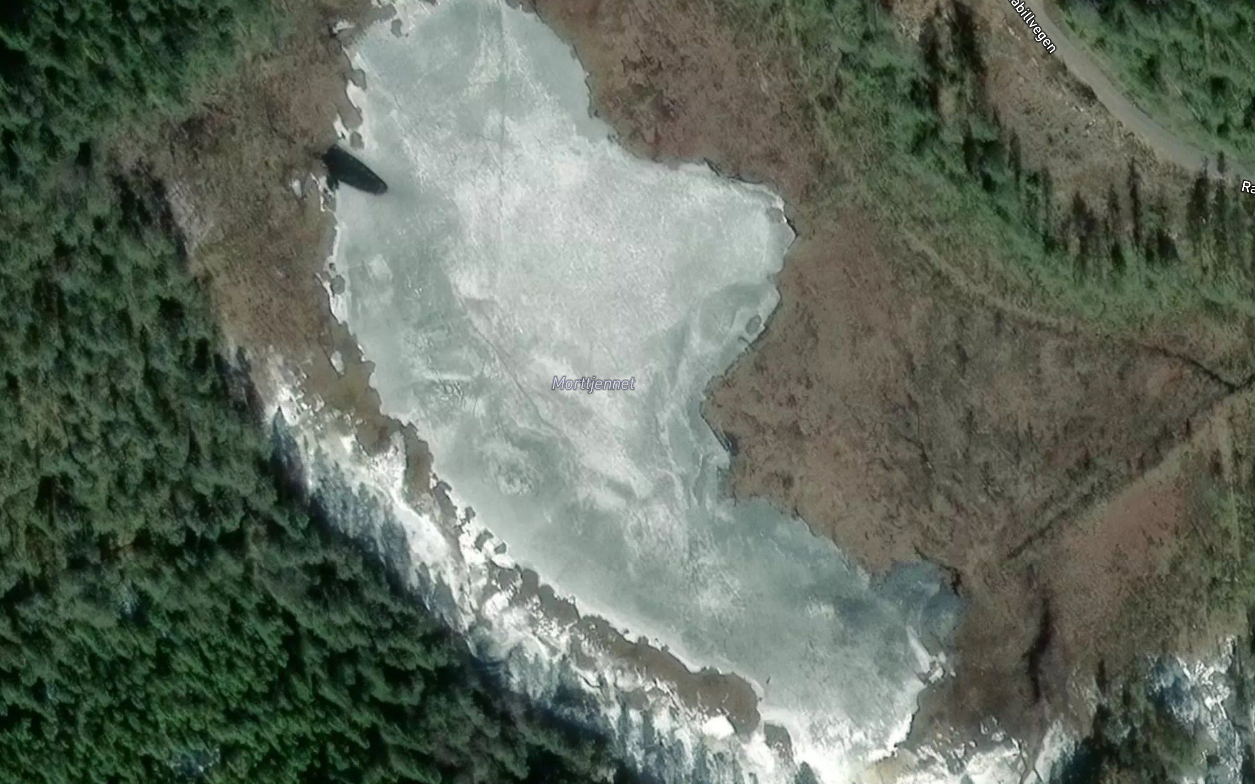 Morttjernet