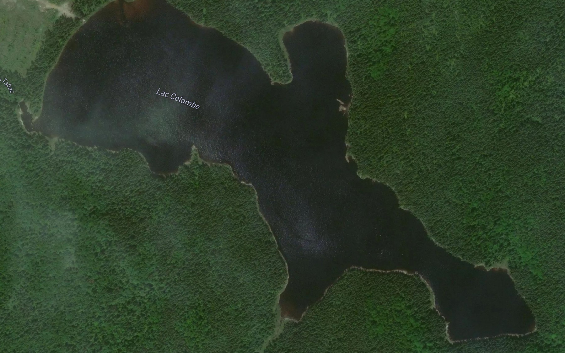 Satellite map of the Lac Colombe