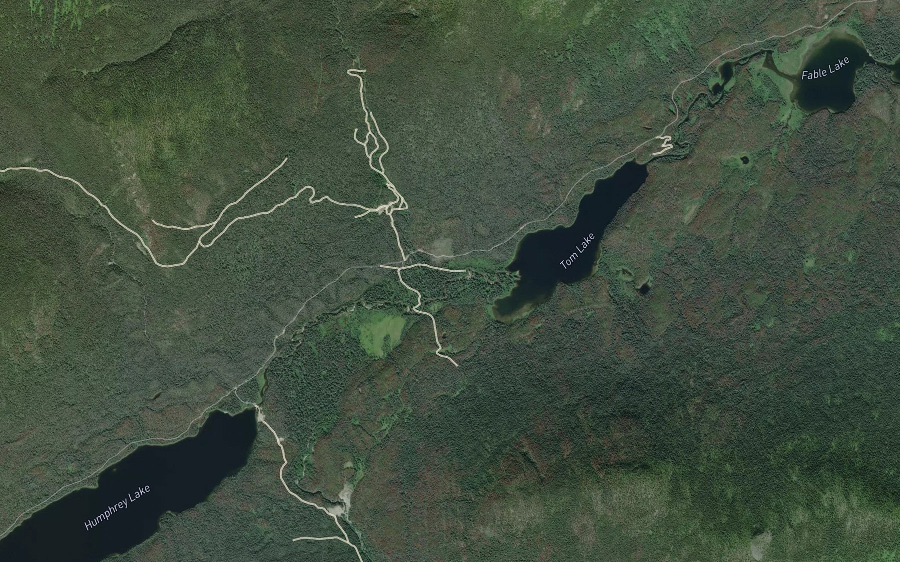 Satellite map of the Tom Creek