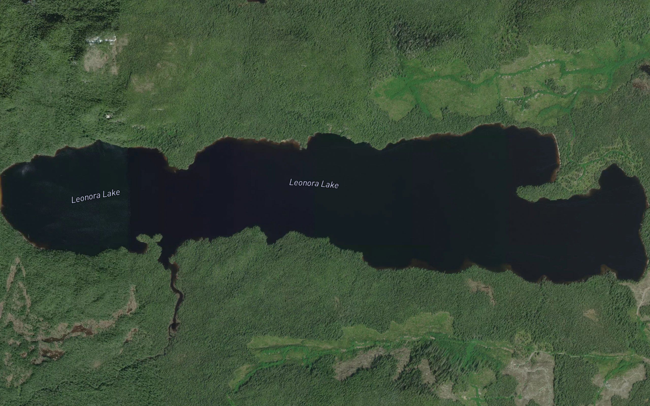 Leonora Lake