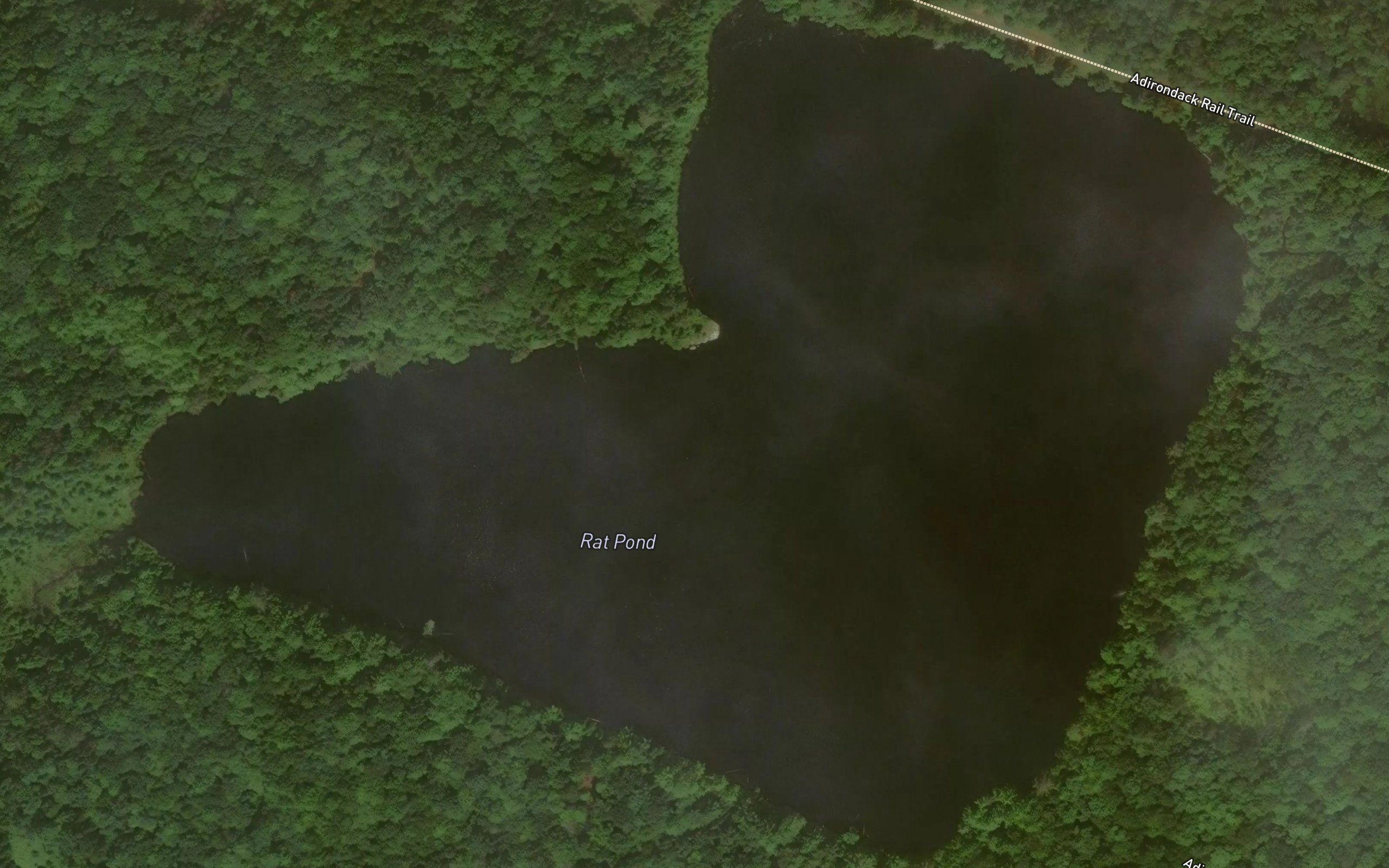 Rat Pond