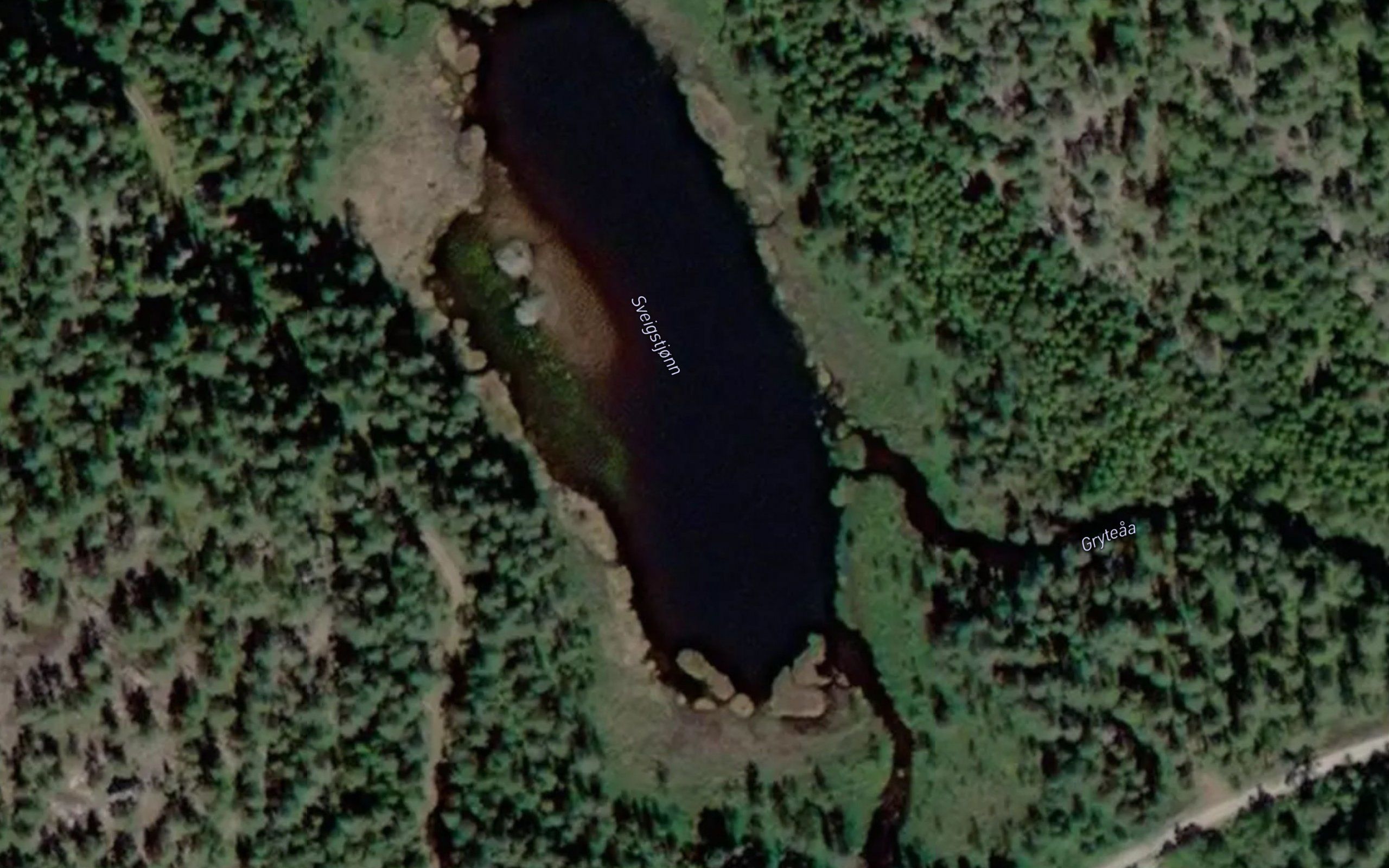 Sveigetjorn