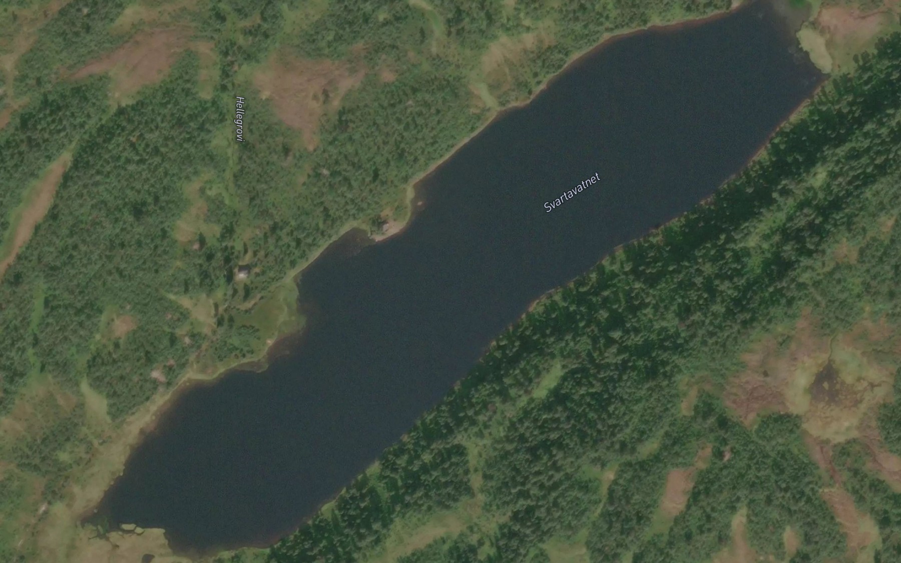 Satellite map of the Svartavatnet