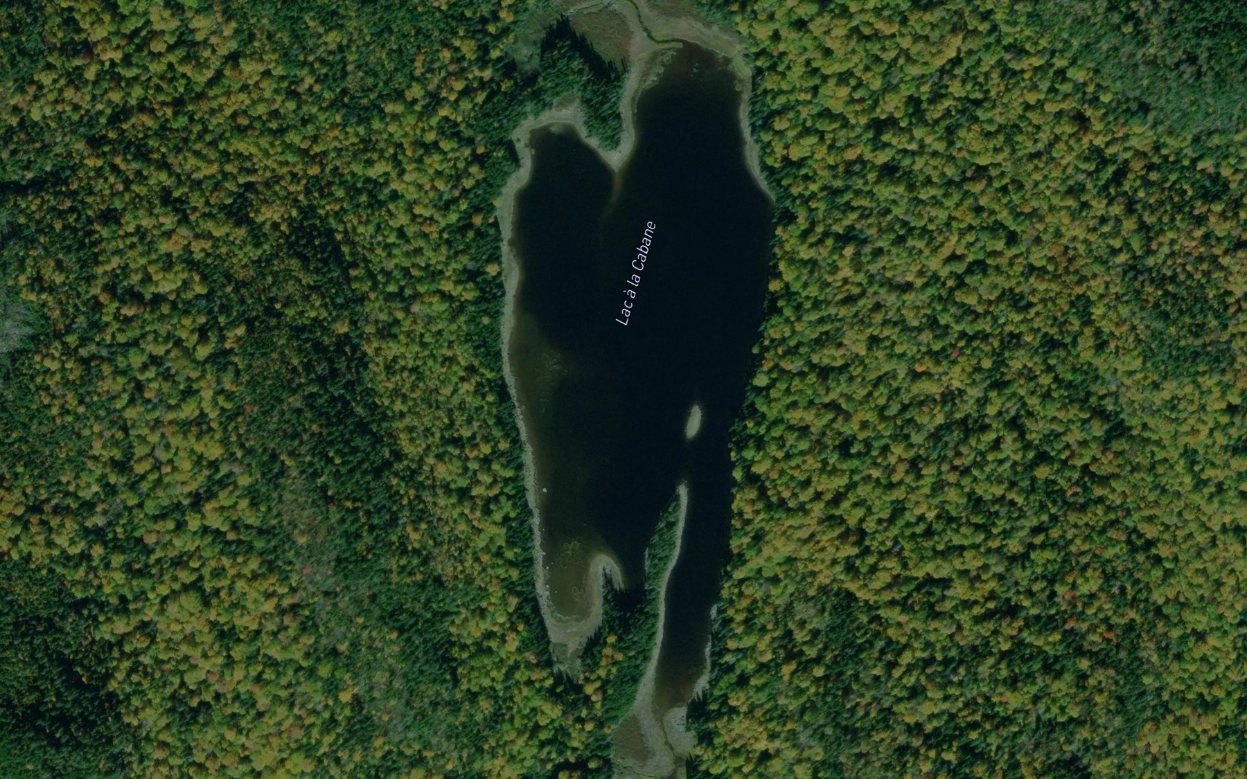 Satellite map of the Lac a la Cabane