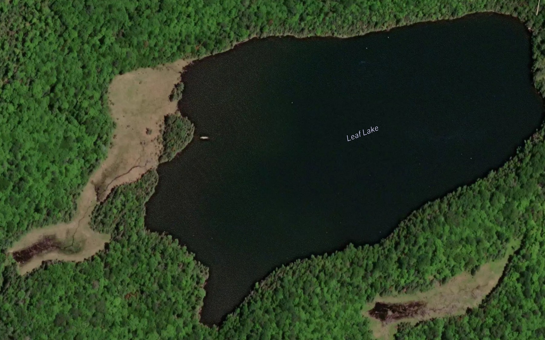 Satellite map of the Leaf Lake