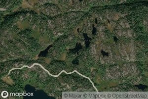 Oynetjornane