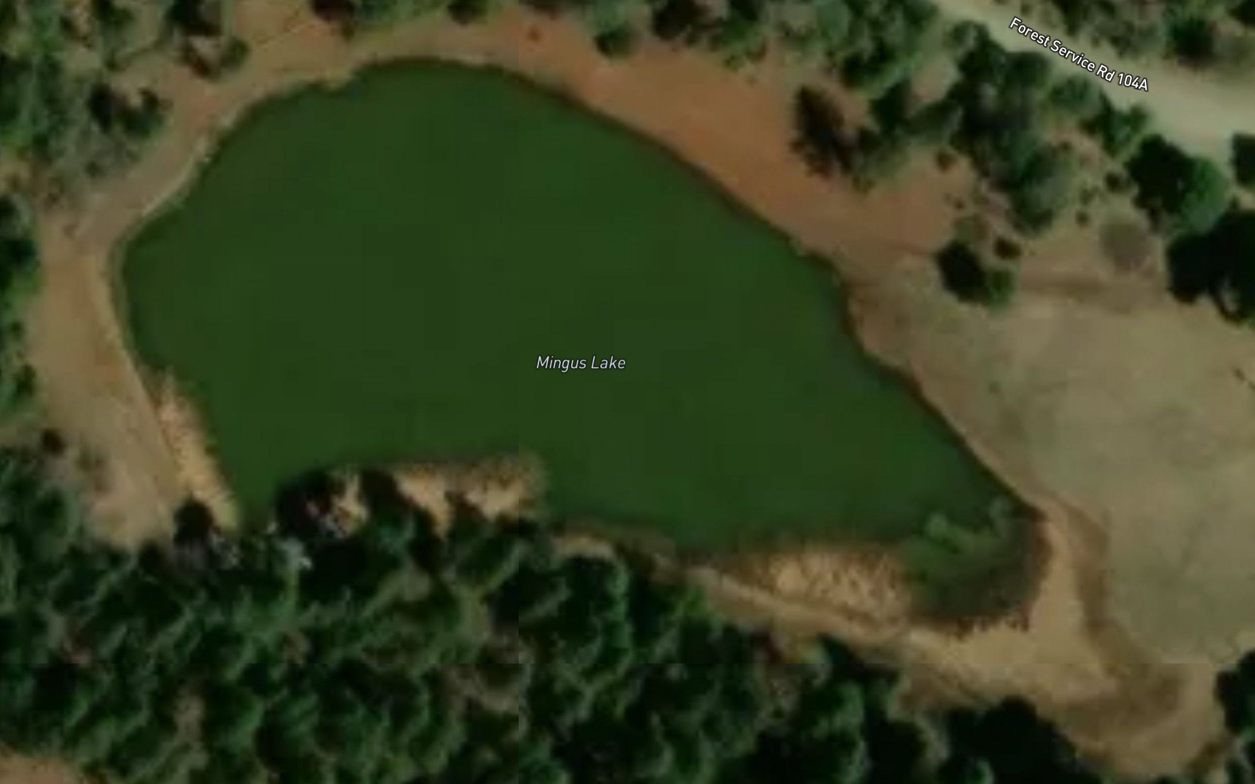 Mingus Lake