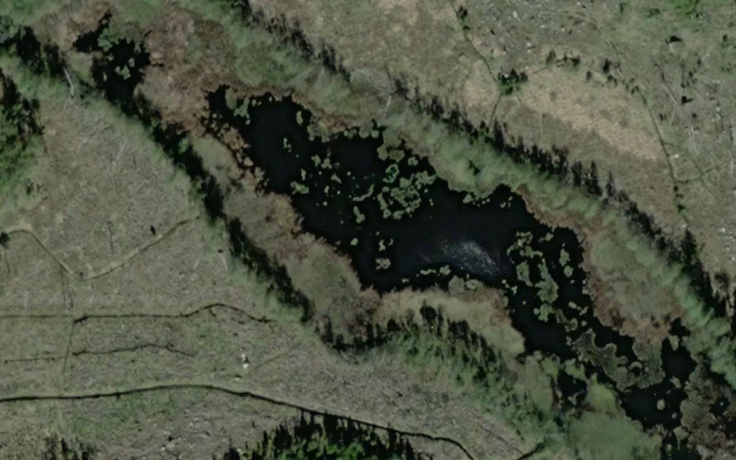 Vastra Langtrasket