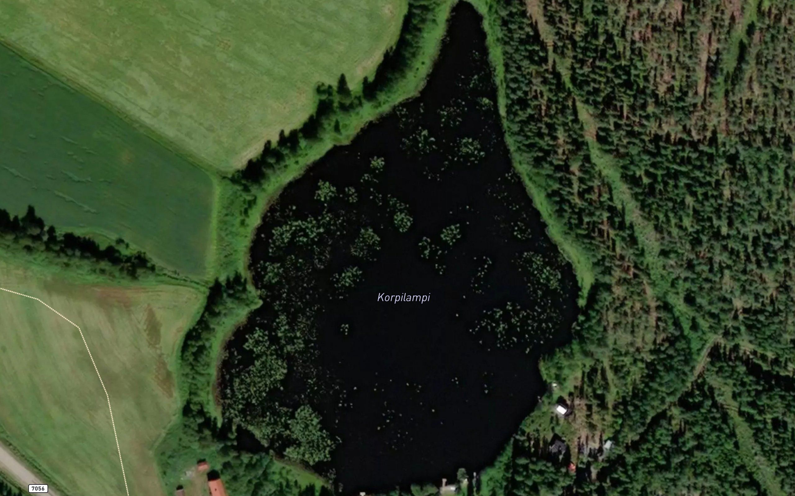 Korpilampi