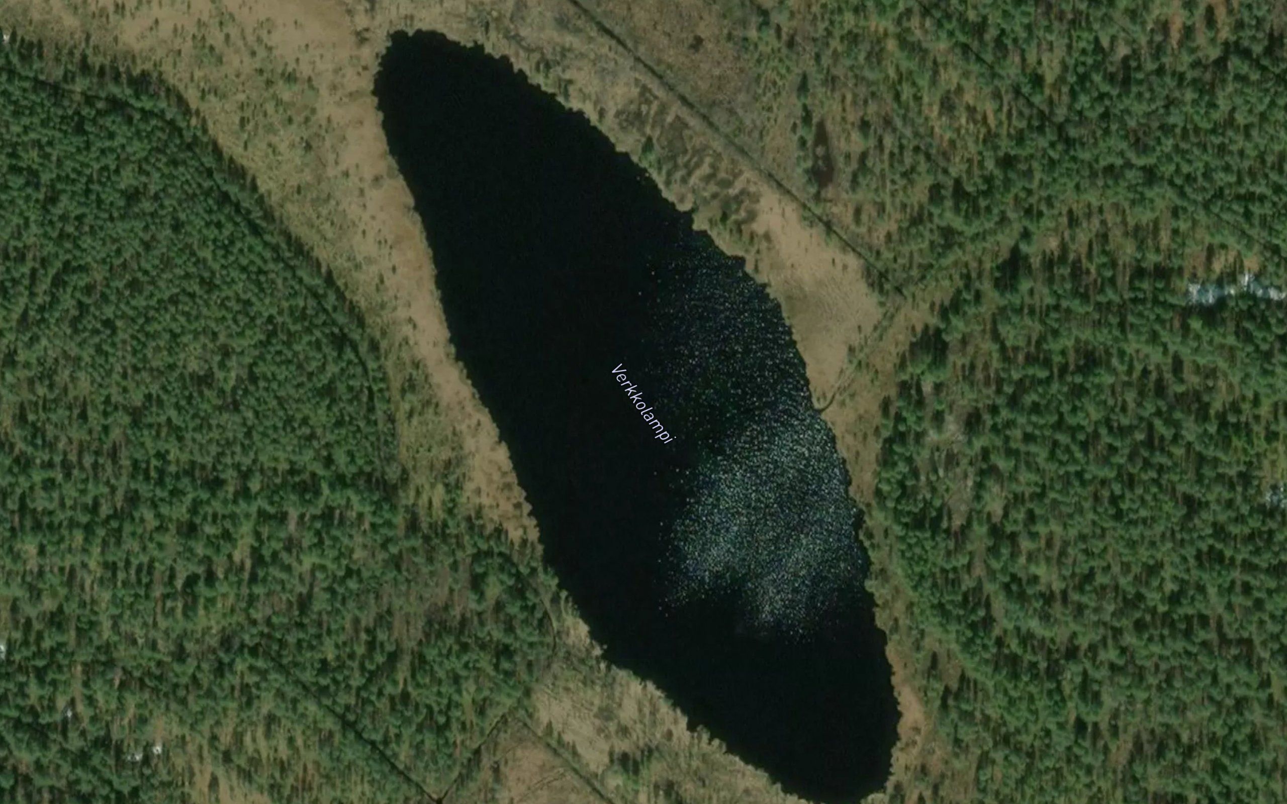 Verkkolampi