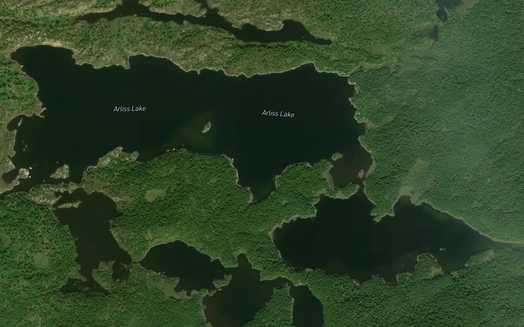Satellite map of the Arliss Lake