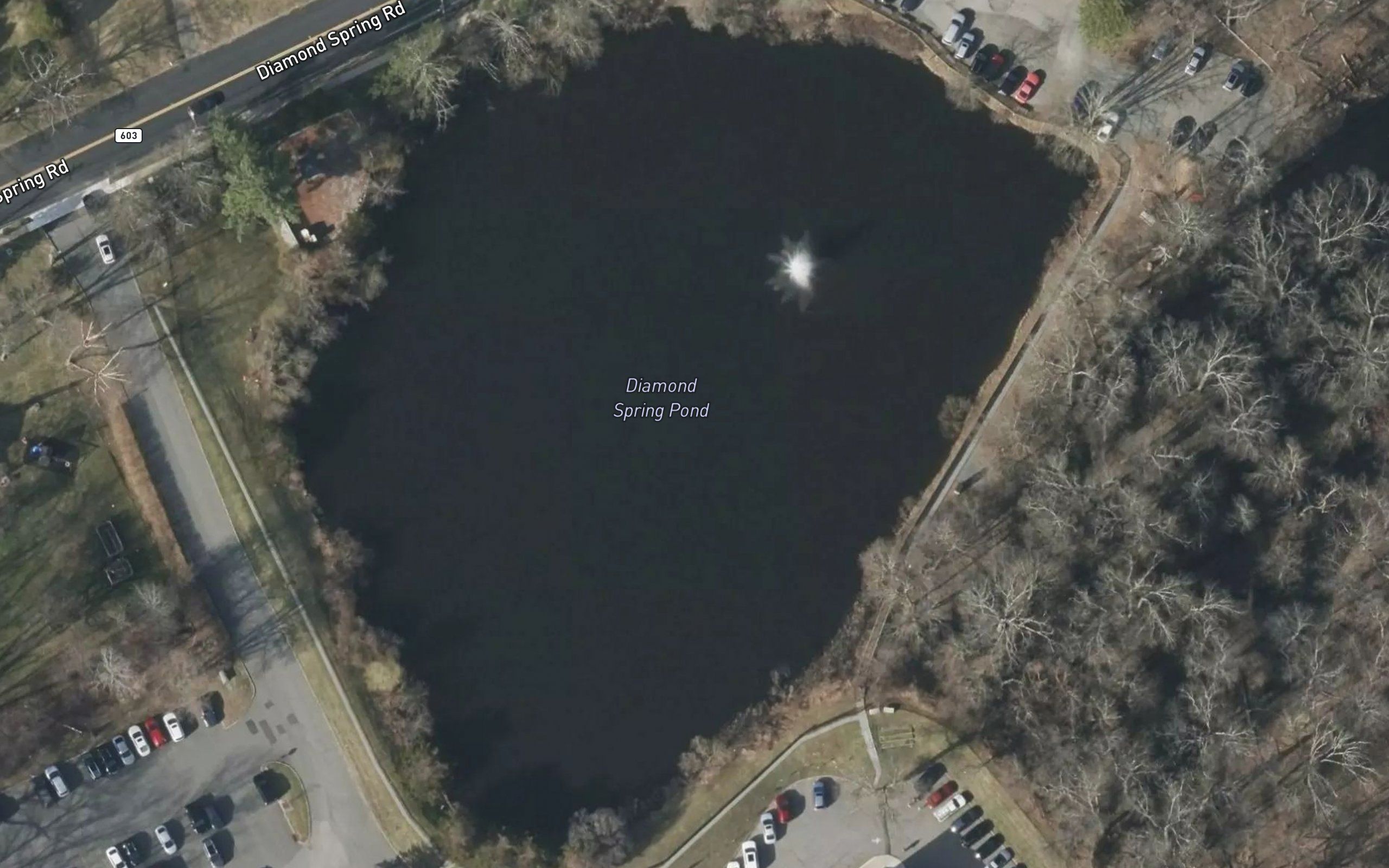 Diamond Springs Pond
