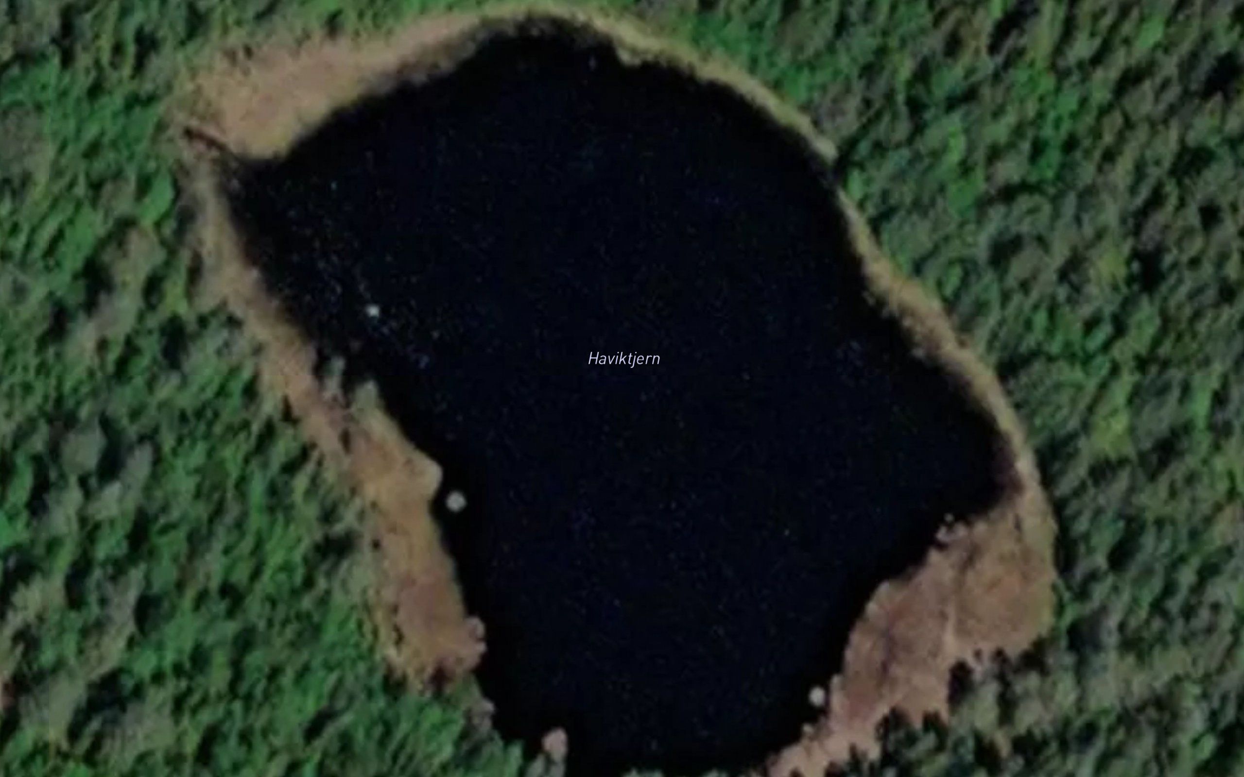 Haviktjern