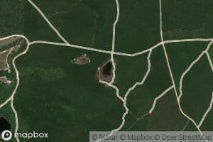 Bumblebee Pond
