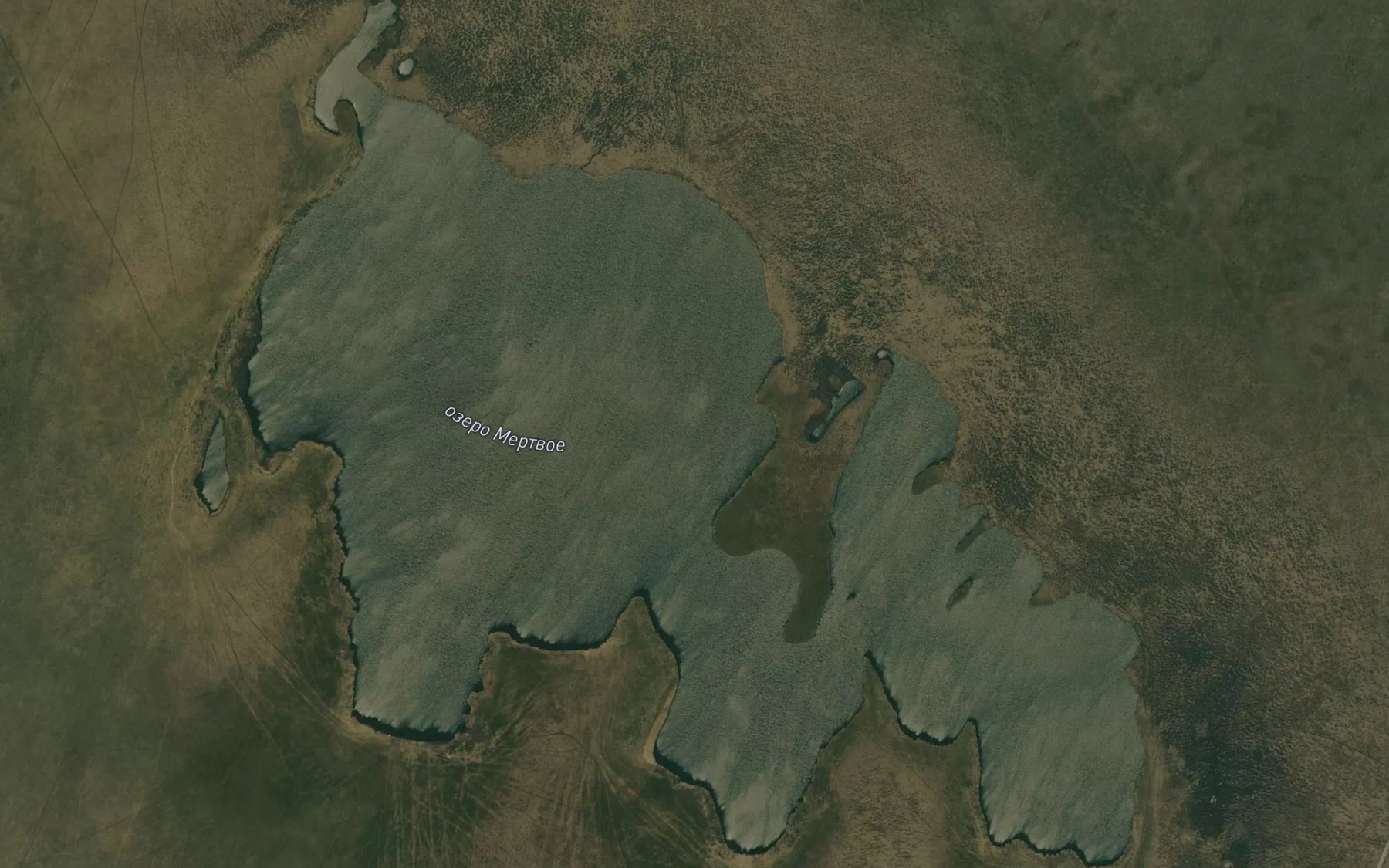 Satellite map of the Ozero Mertvoye