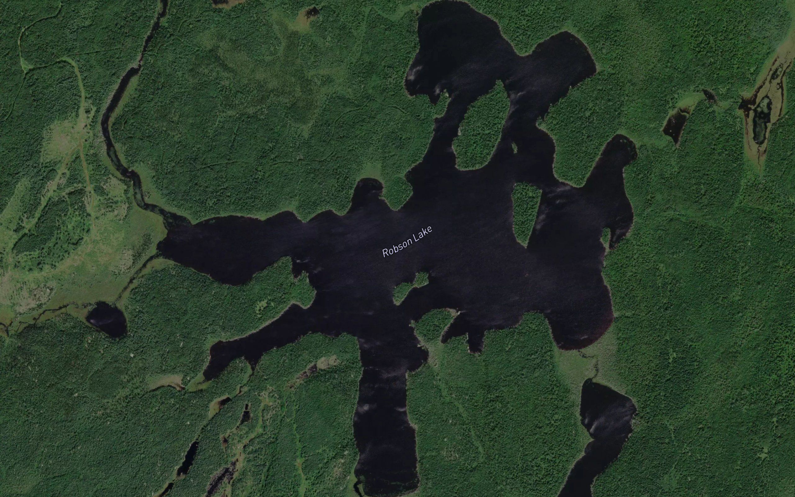 Robson Lake