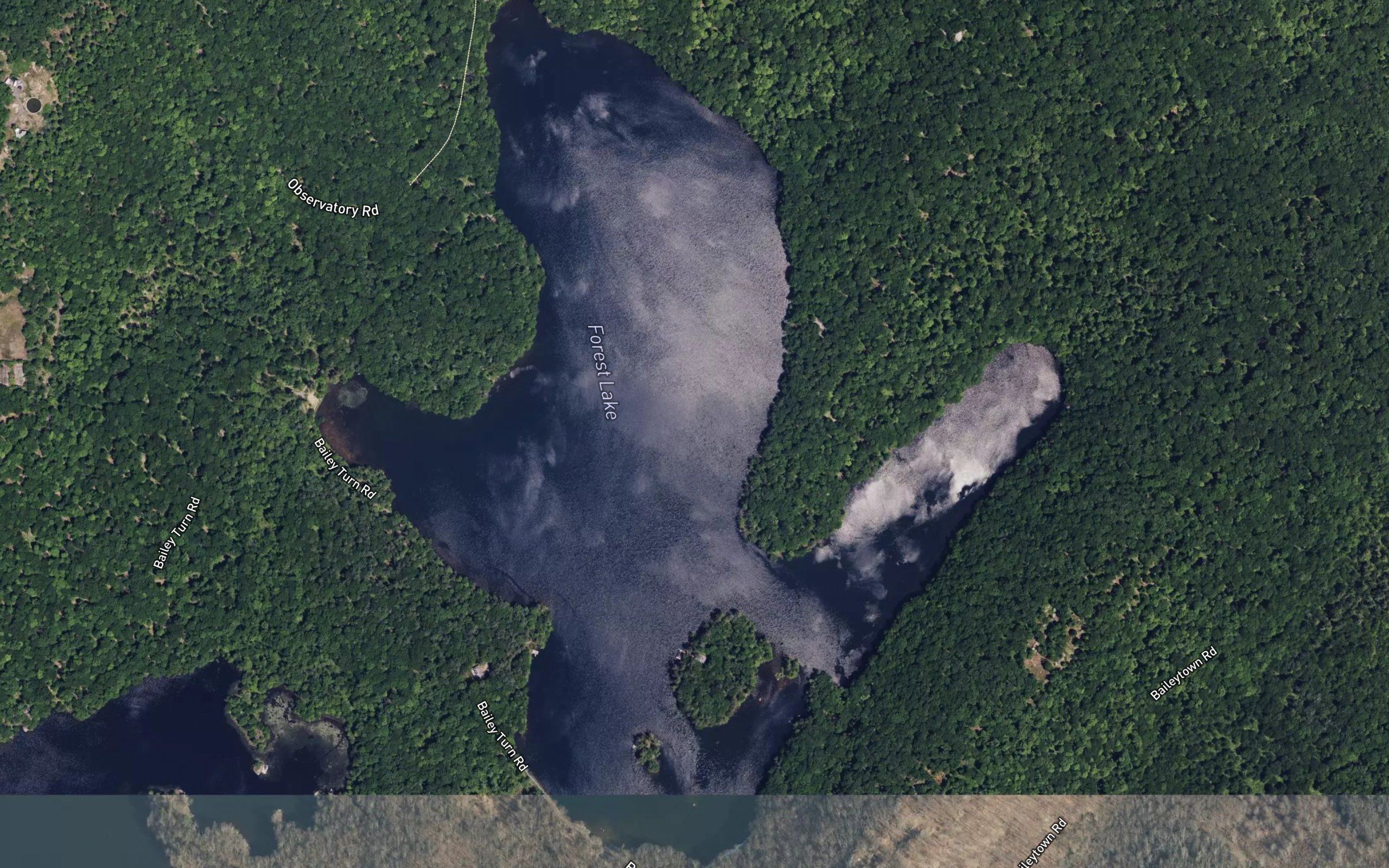 Forest Lake