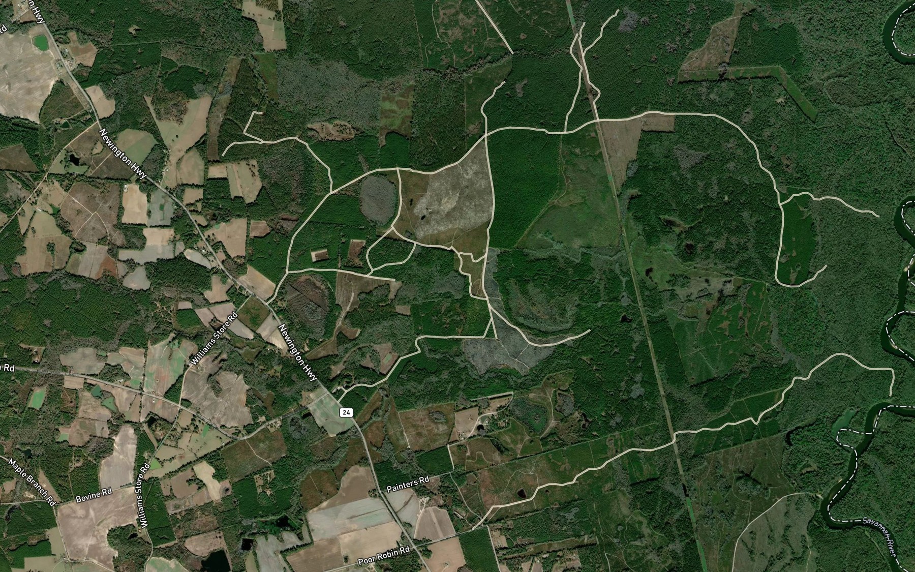Satellite map of the Bird Pond