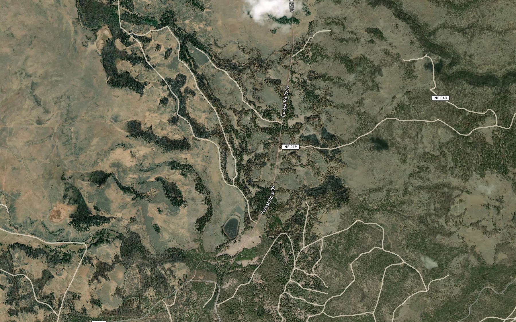 Satellite map of the Small Spring