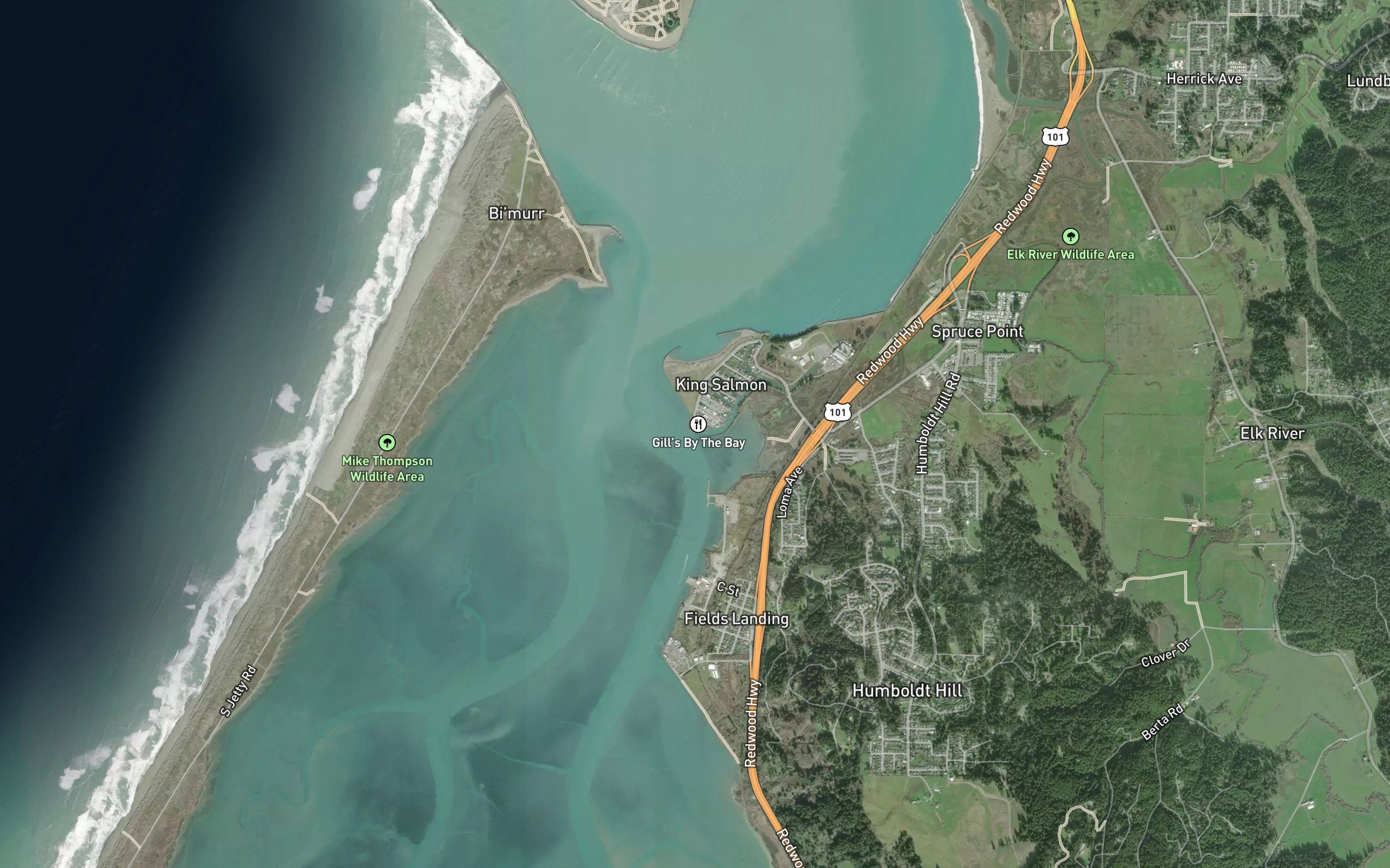 King Salmon Slough