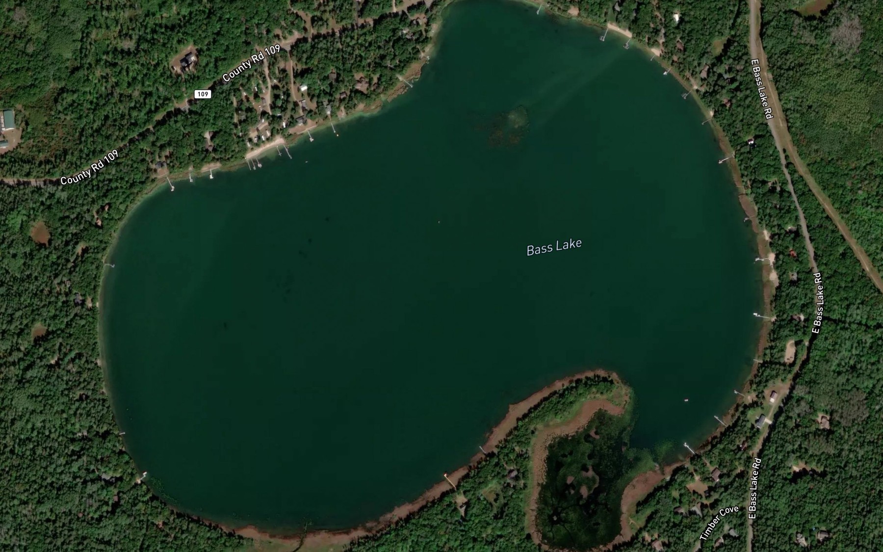 Satellite map of the Bass Lake