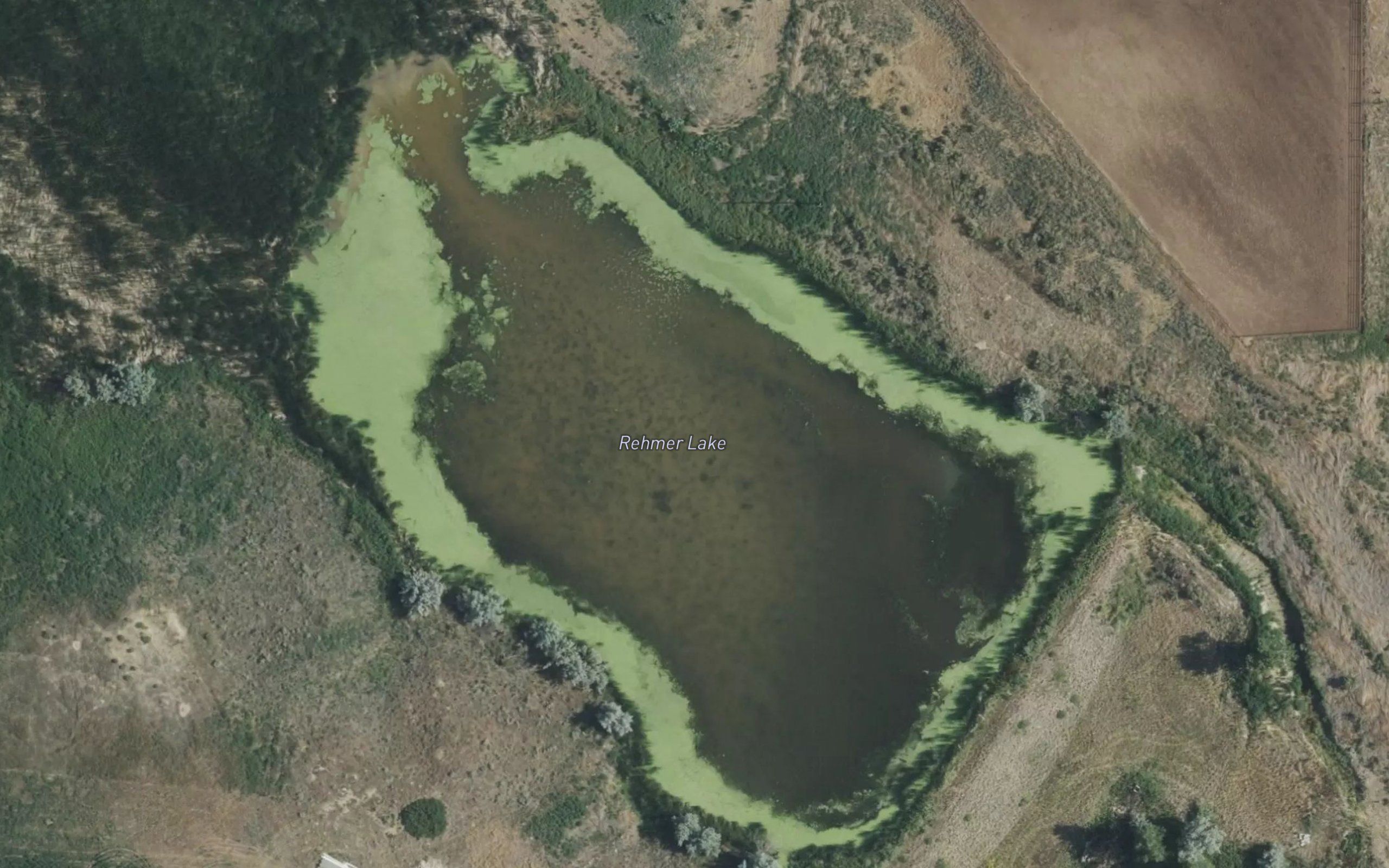 Rehmer Lake