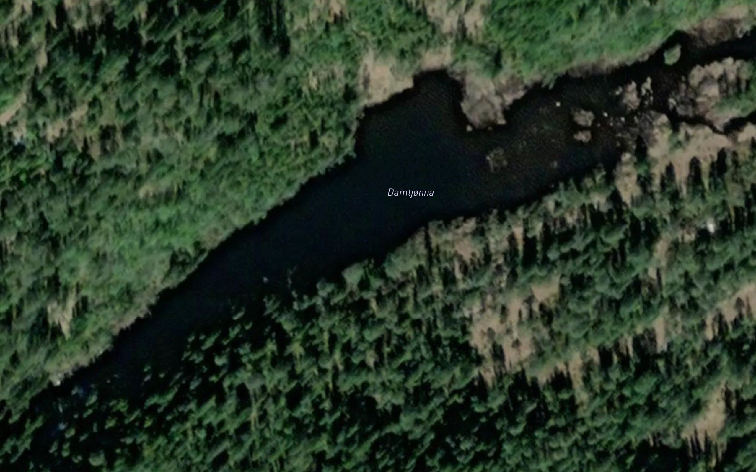 Damtjonna