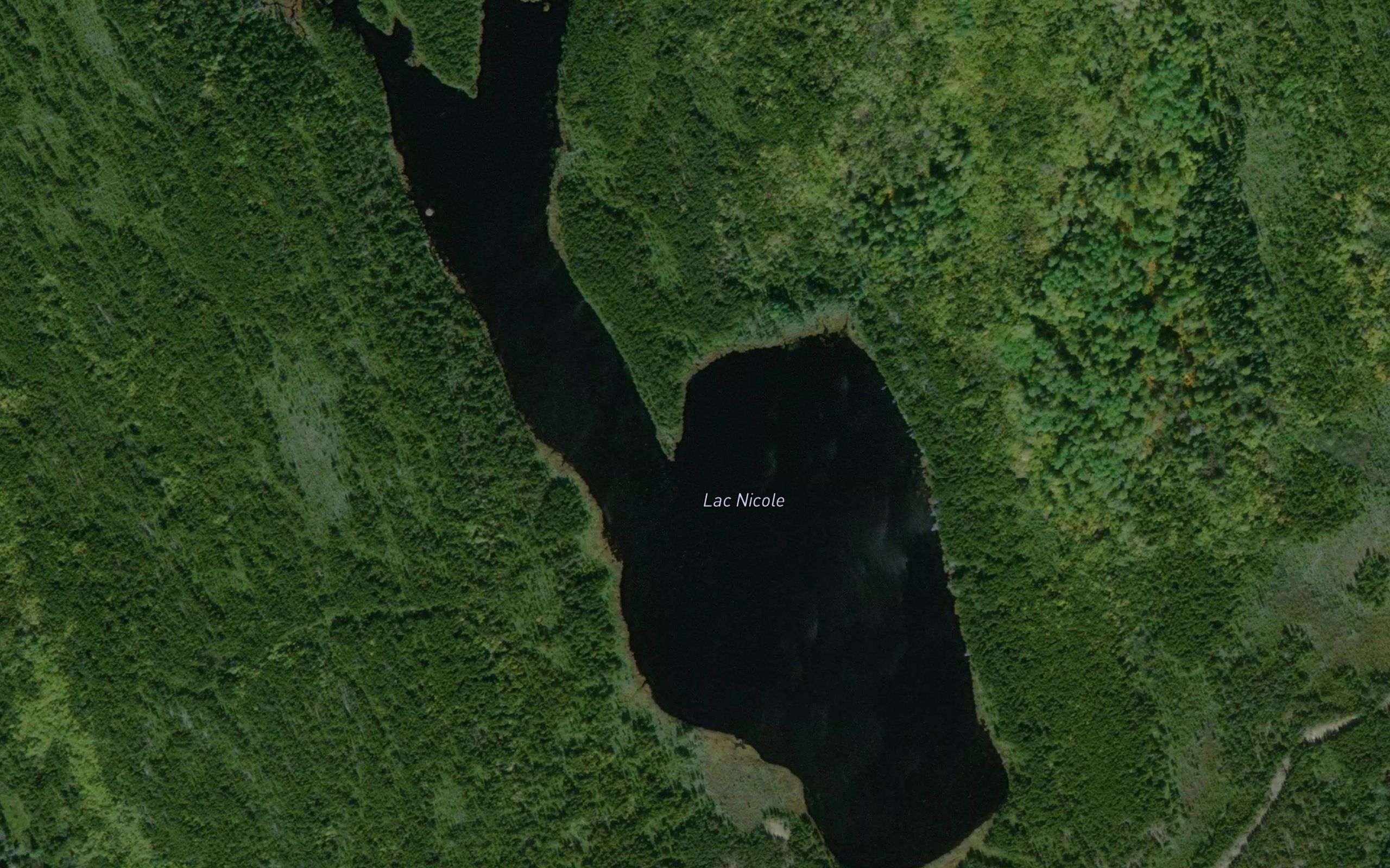 Lac Nicole