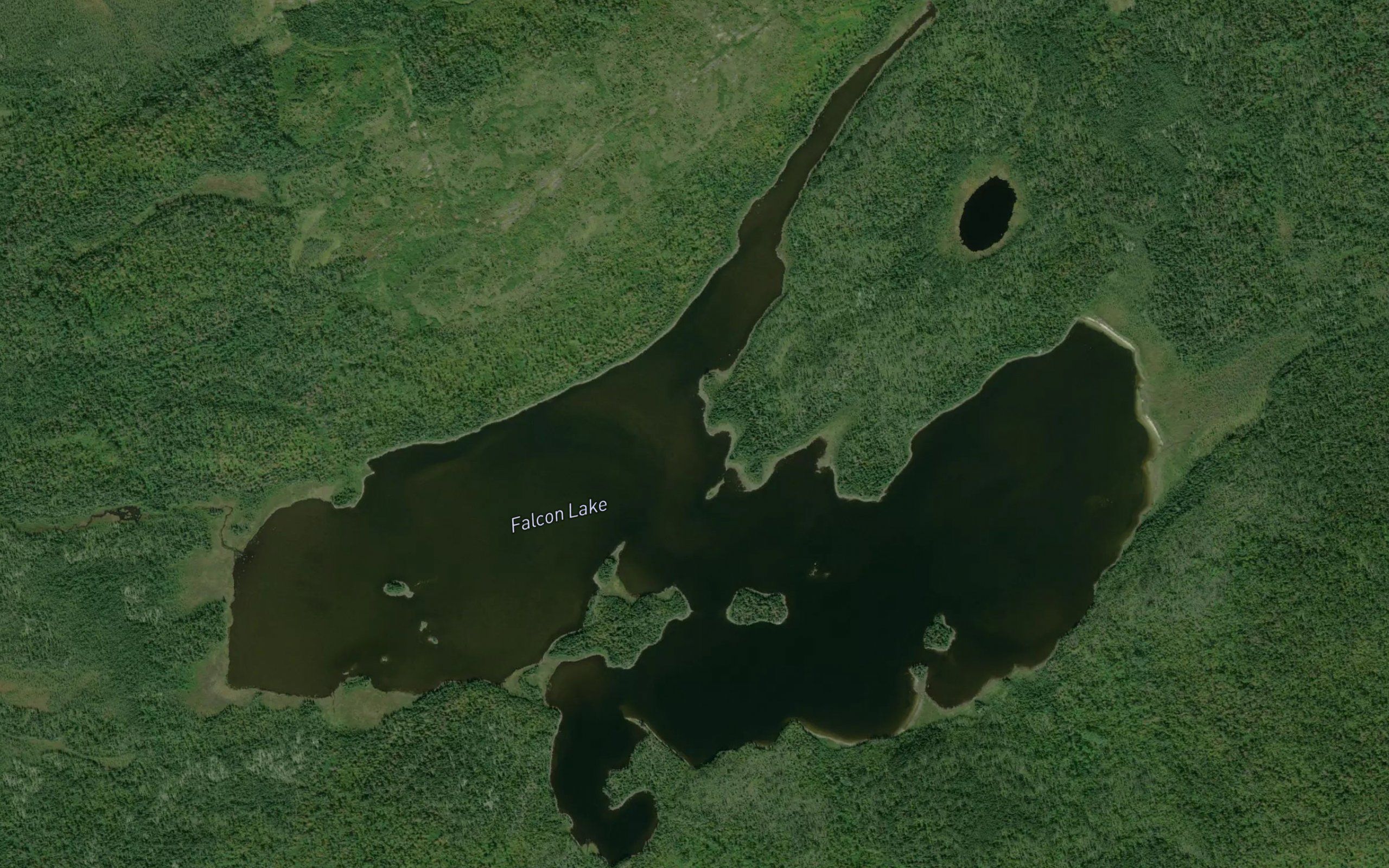Falcon Lake