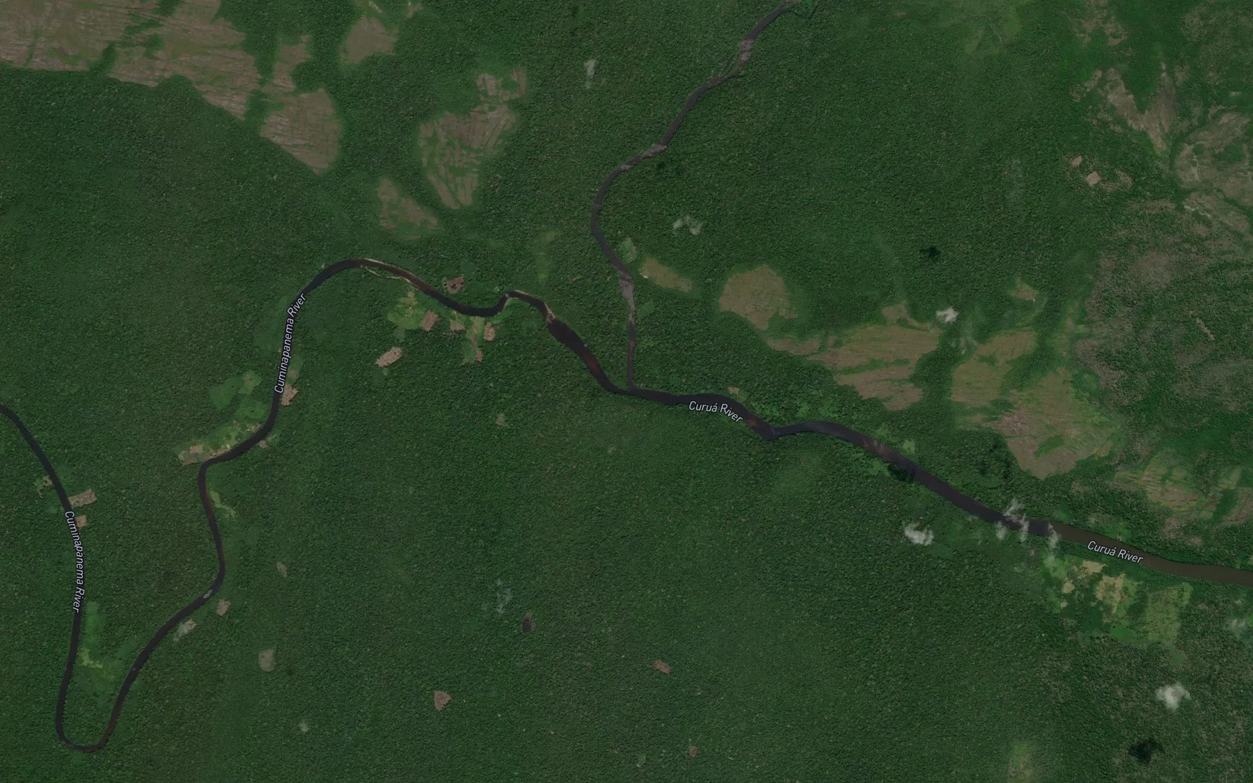 Satellite map of the Rio Cuminapanema