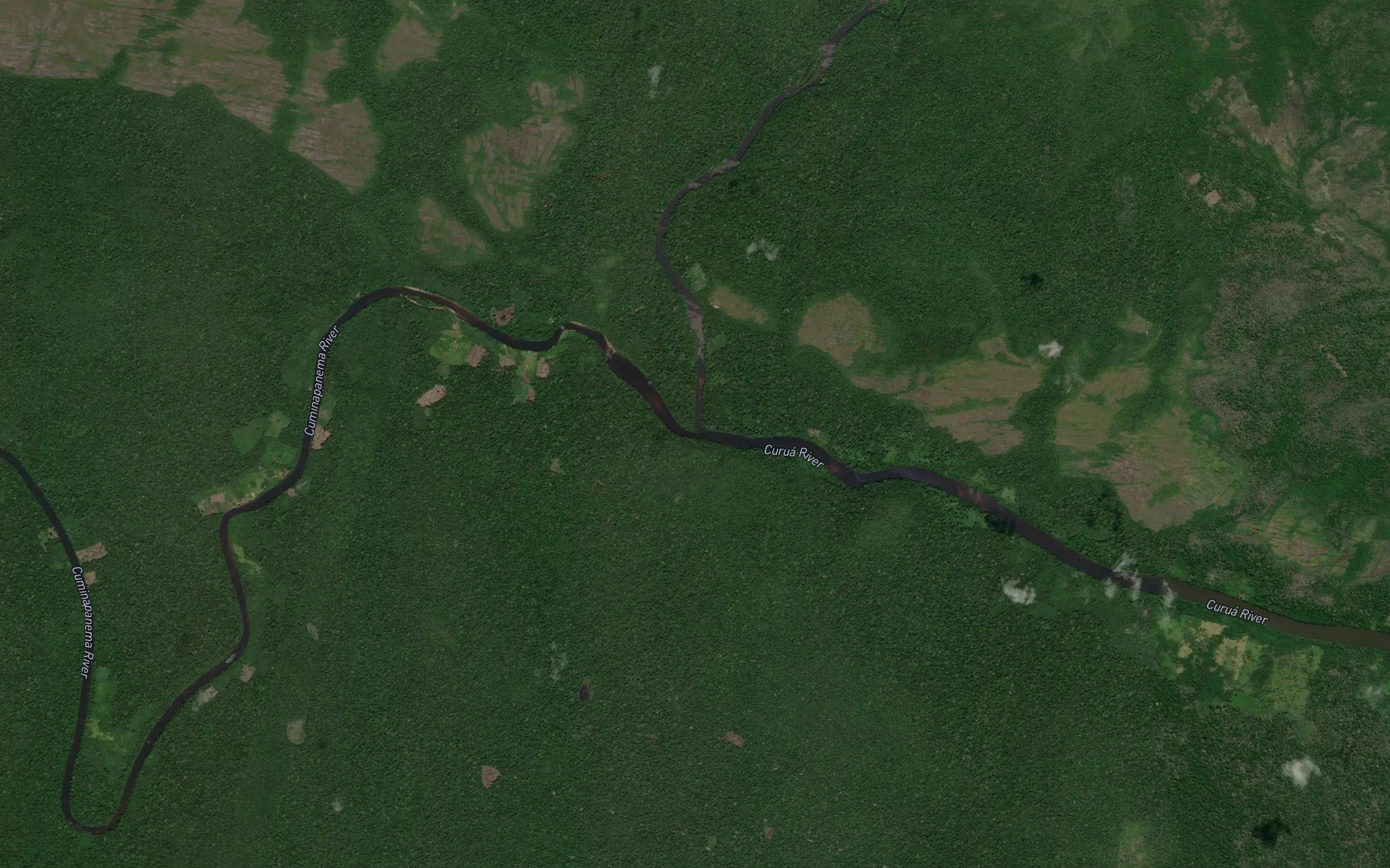 Rio Cuminapanema