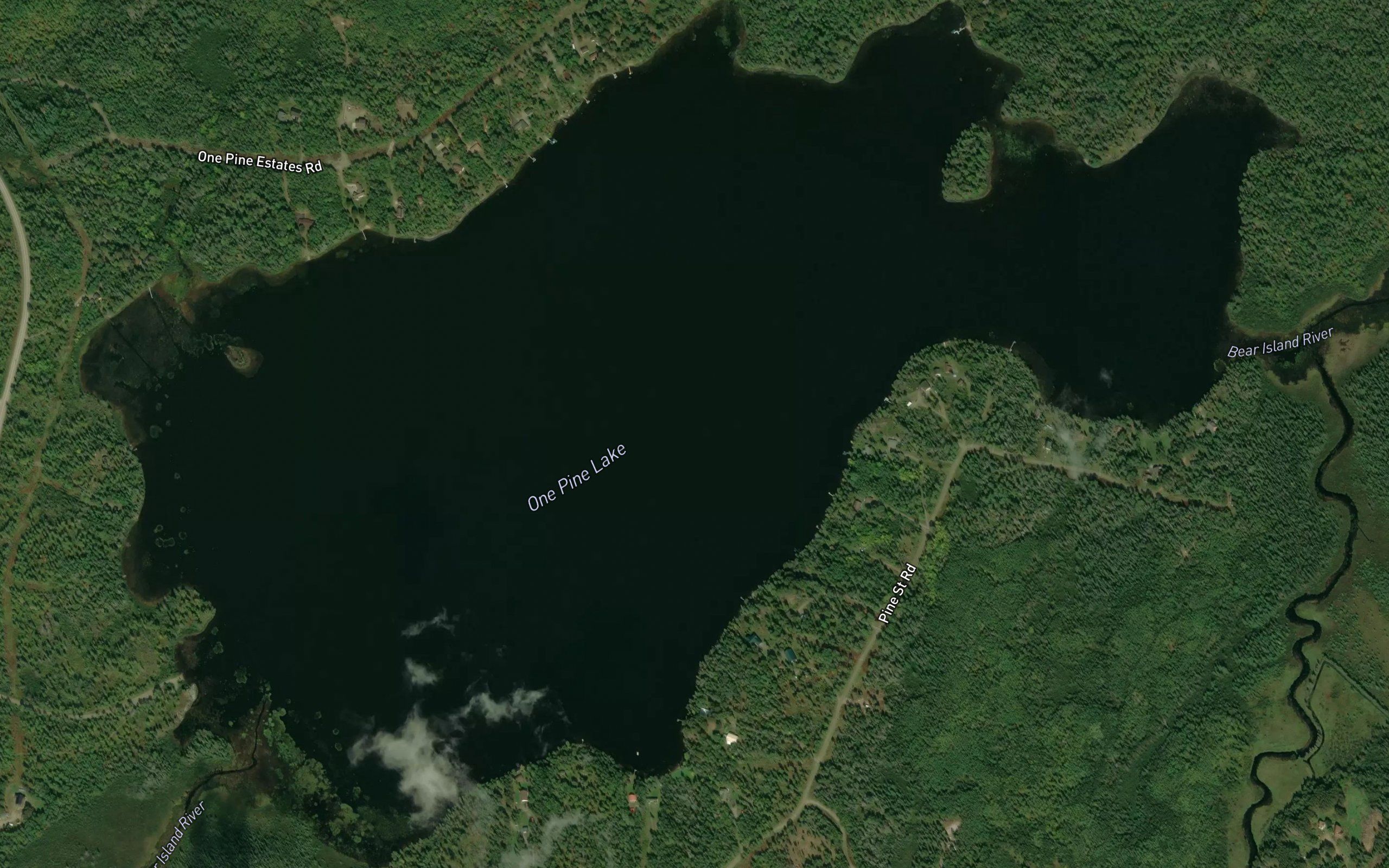 One Pine Lake