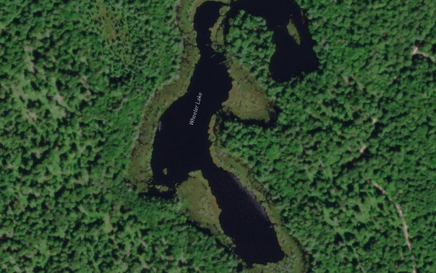 Satellite map of the Wheeler Lake