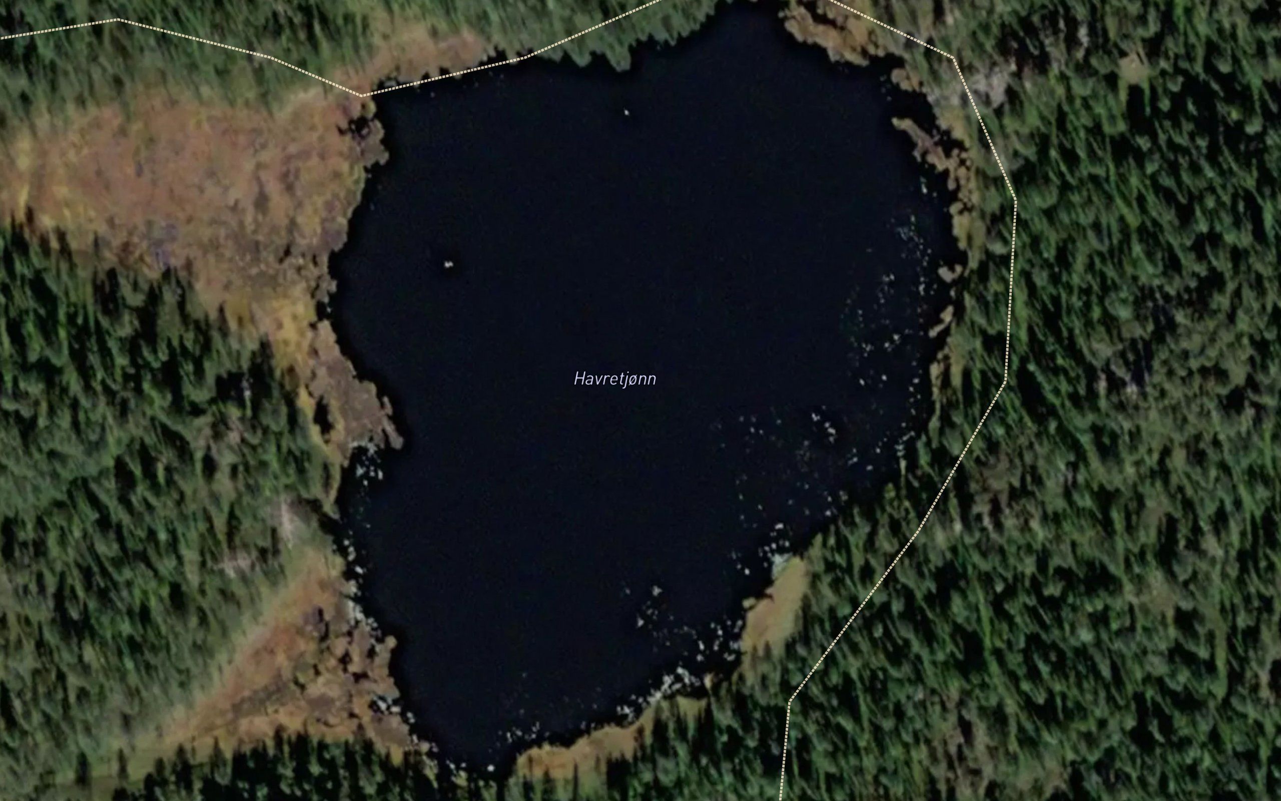 Havretjonn
