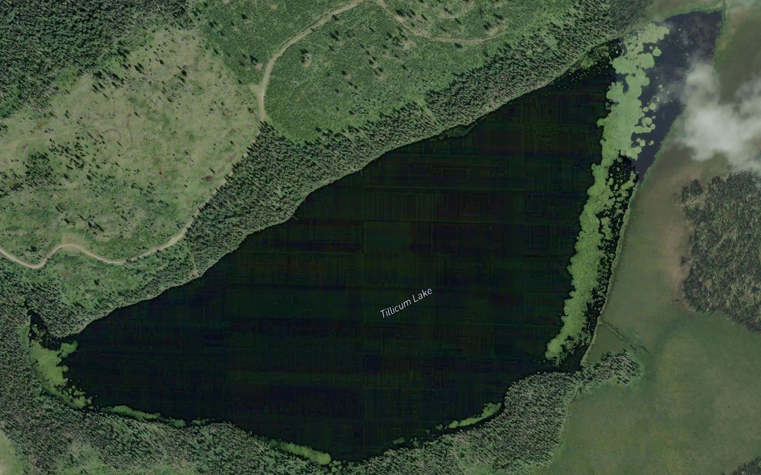 Tillicum Lake