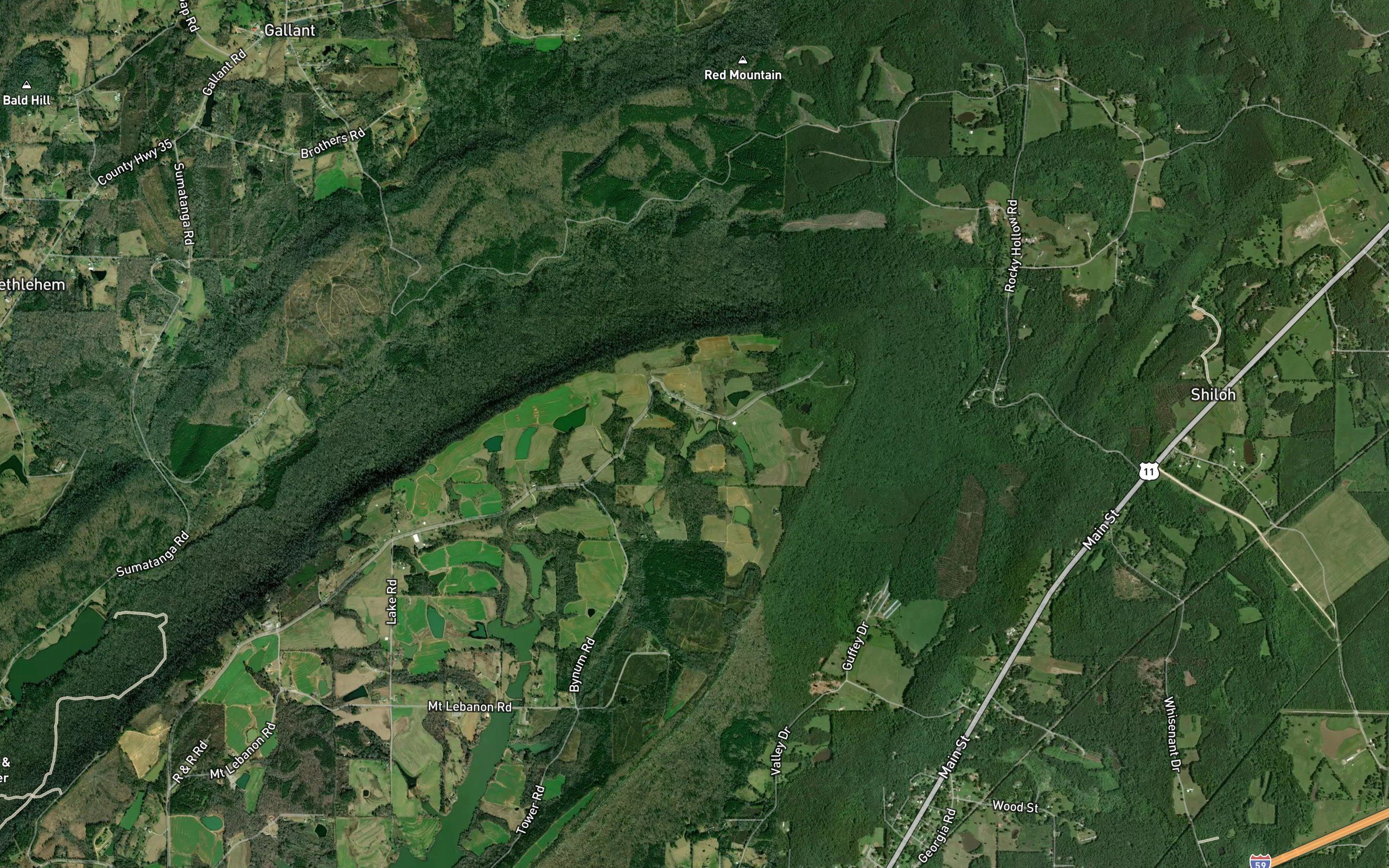 Ezell Jenkins Lake