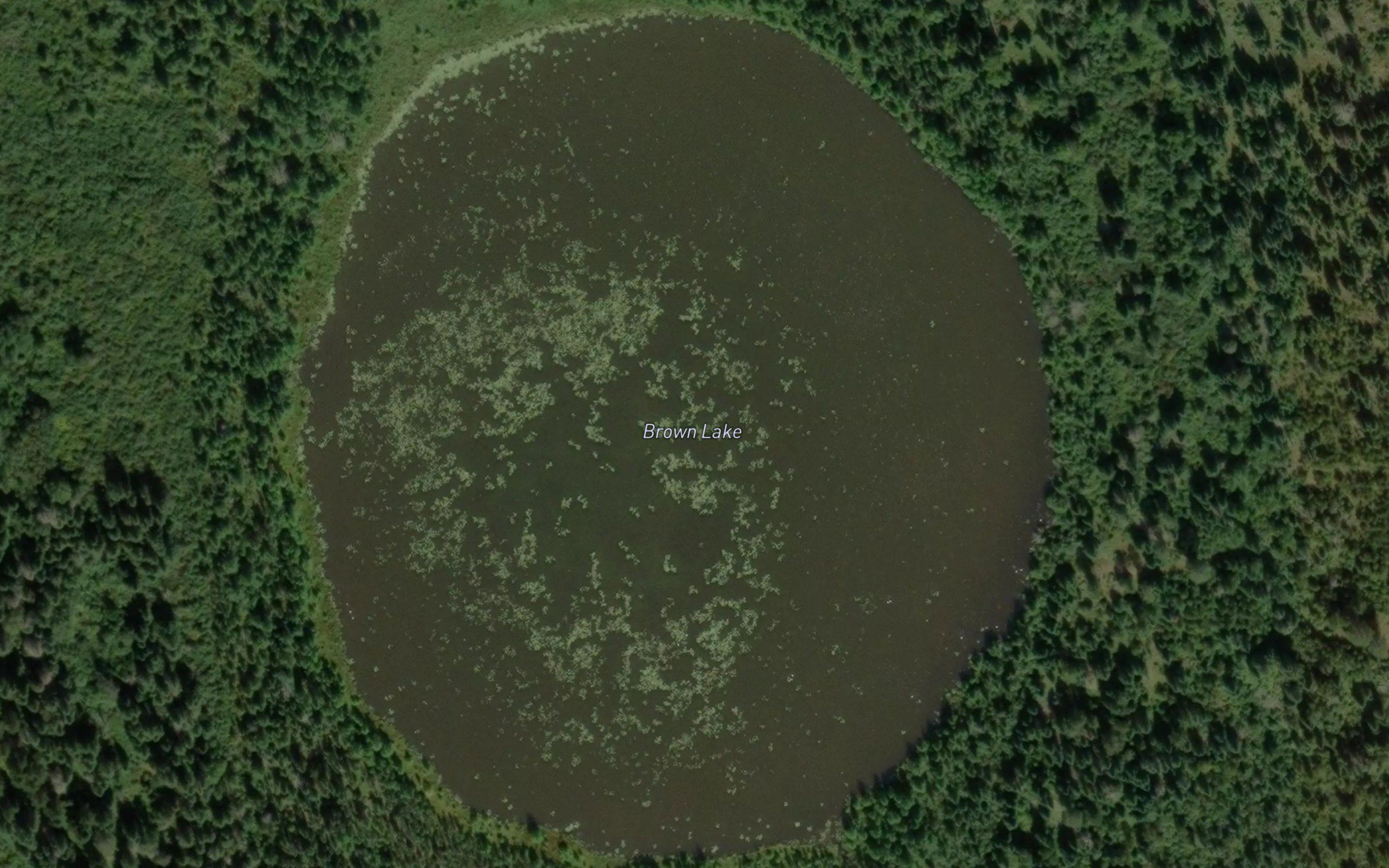 Brown Lake