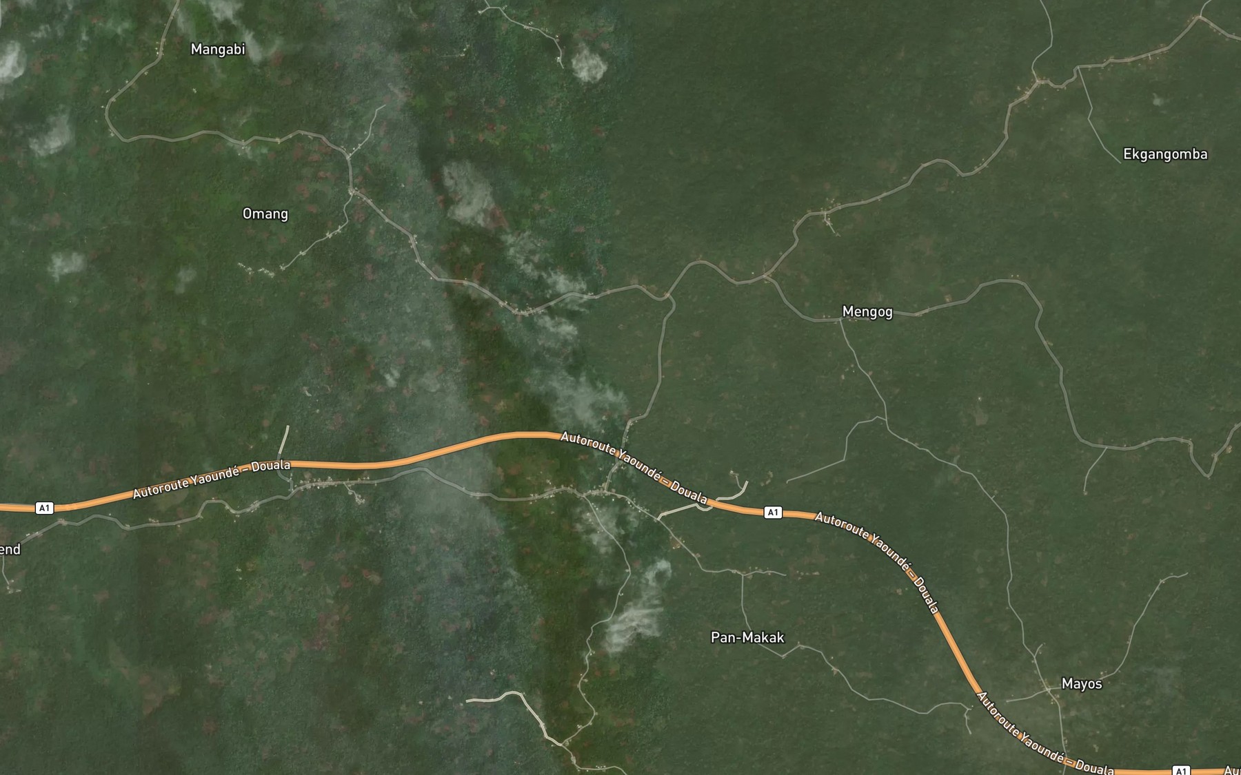 Satellite map of the Ngoume
