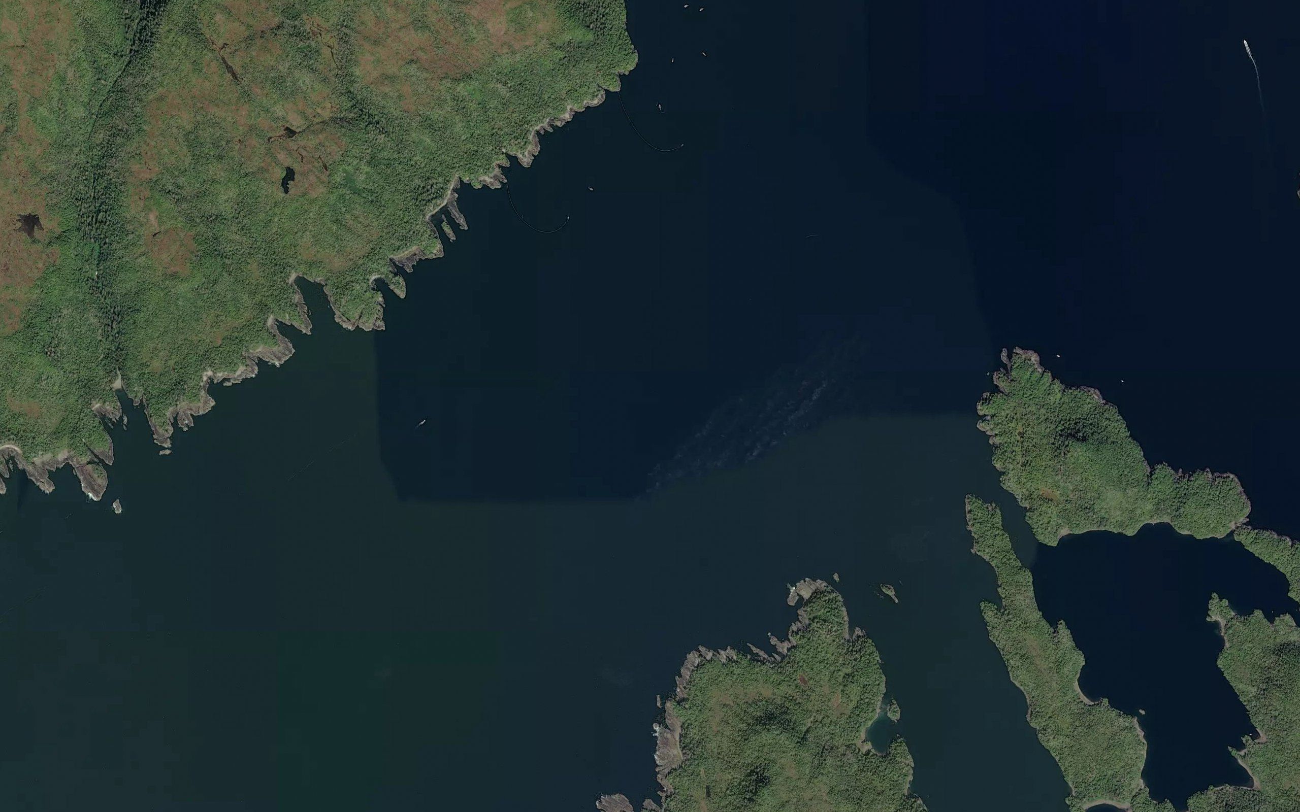 Whale Bay