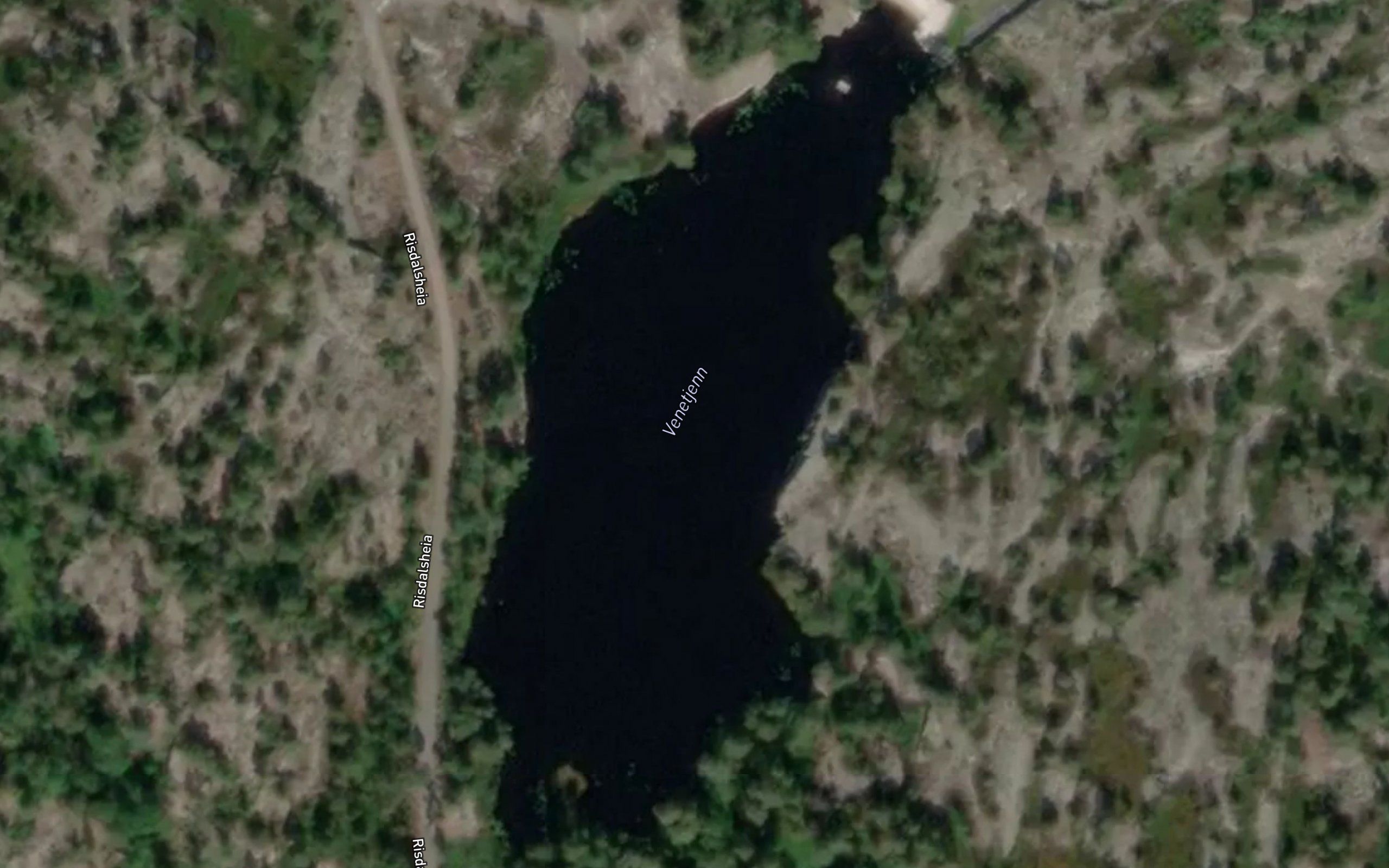 Venetjern