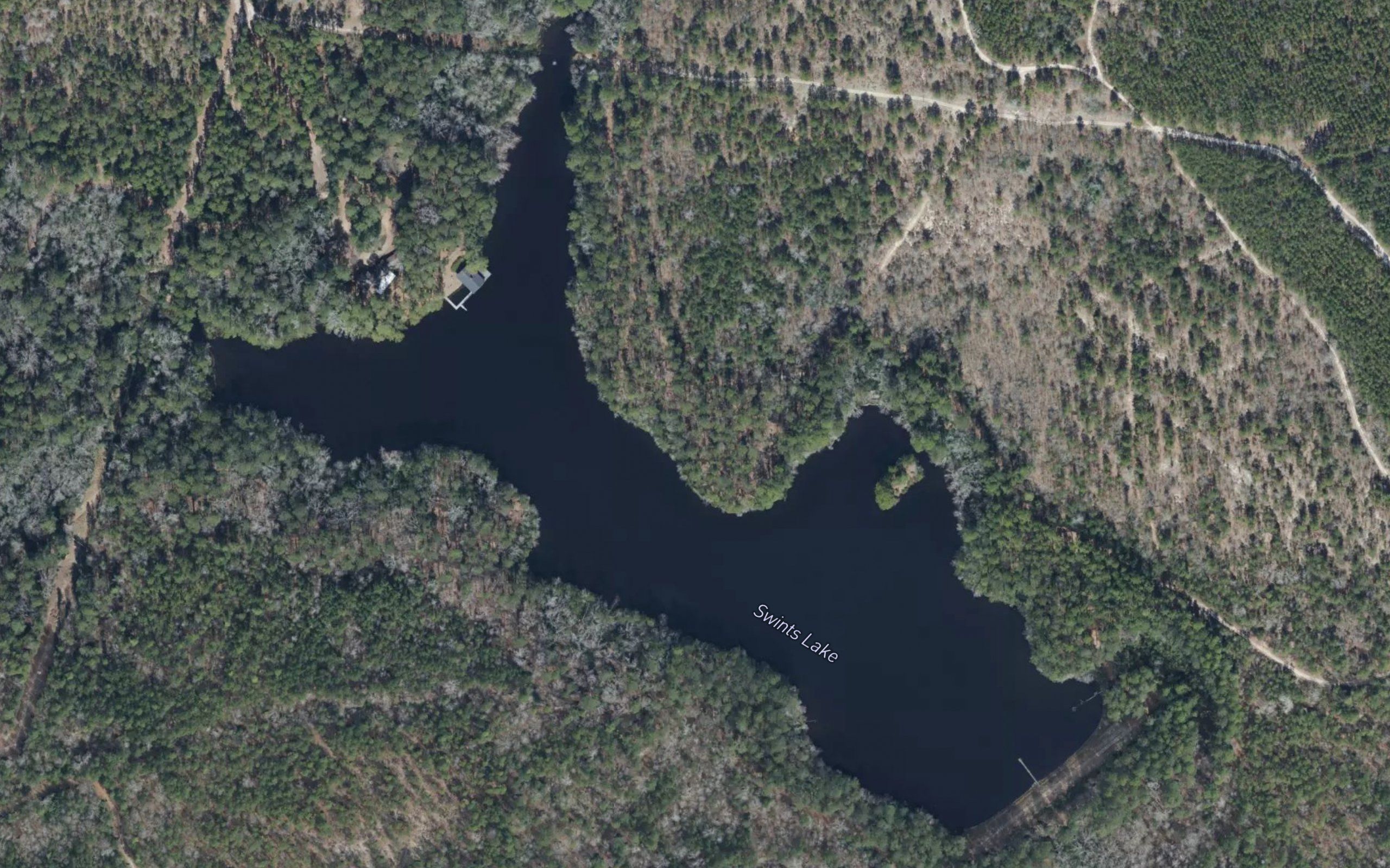 Swints Lake