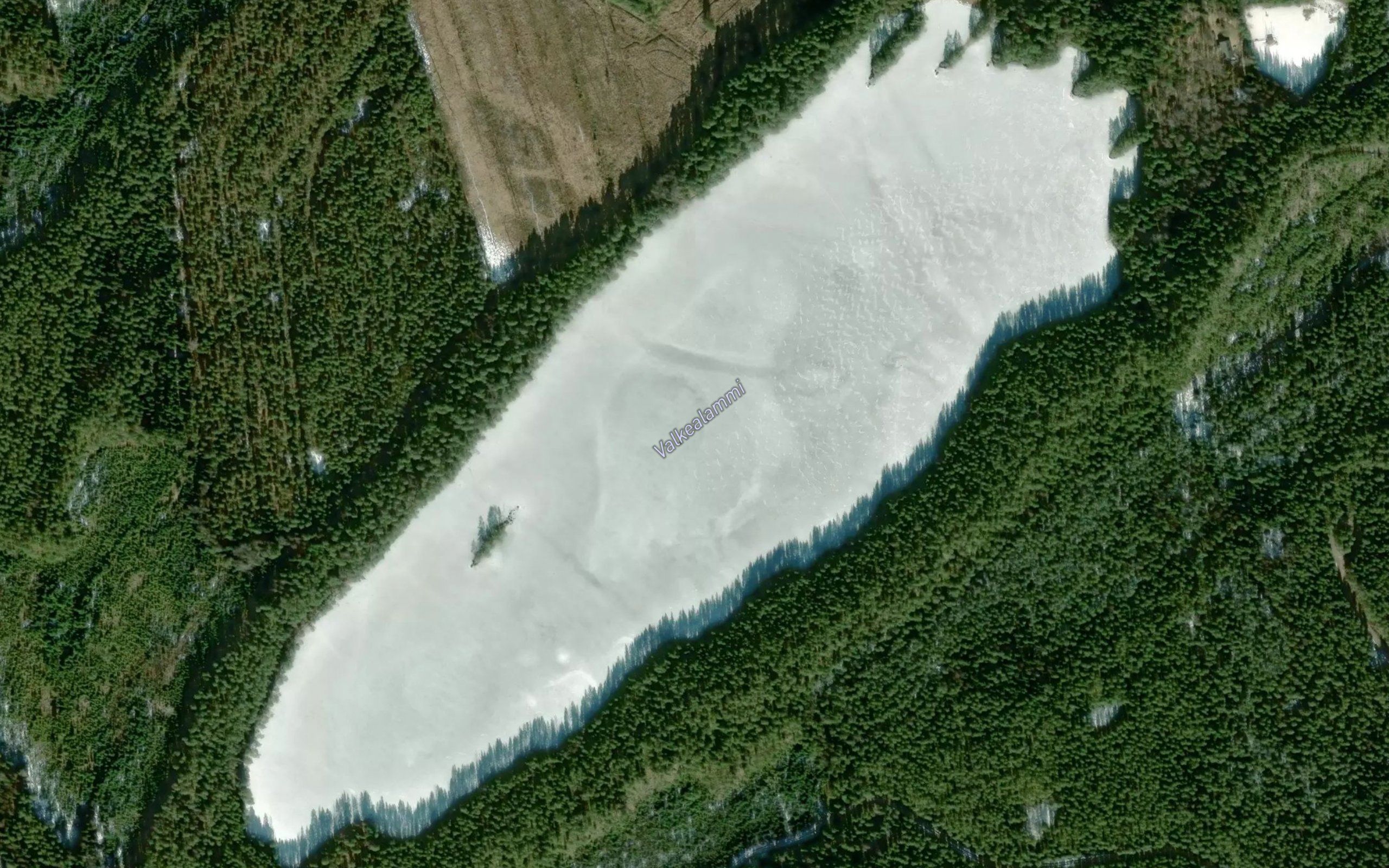 Valkealammi