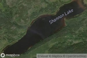 Shannon Lake
