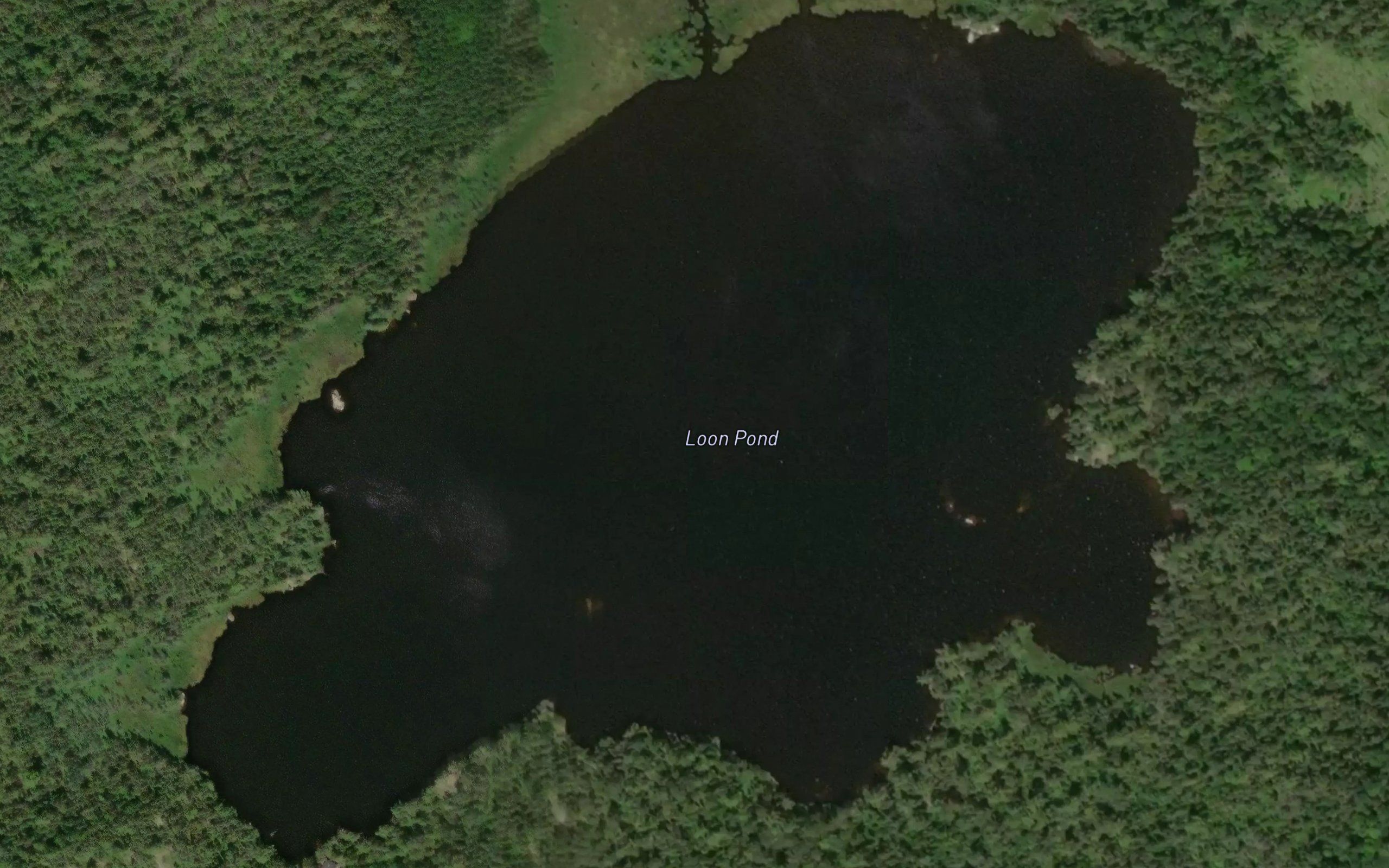 Loon Pond