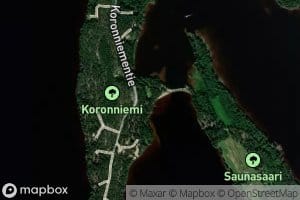 Salmenlampi