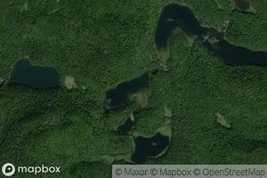 Lac Fox