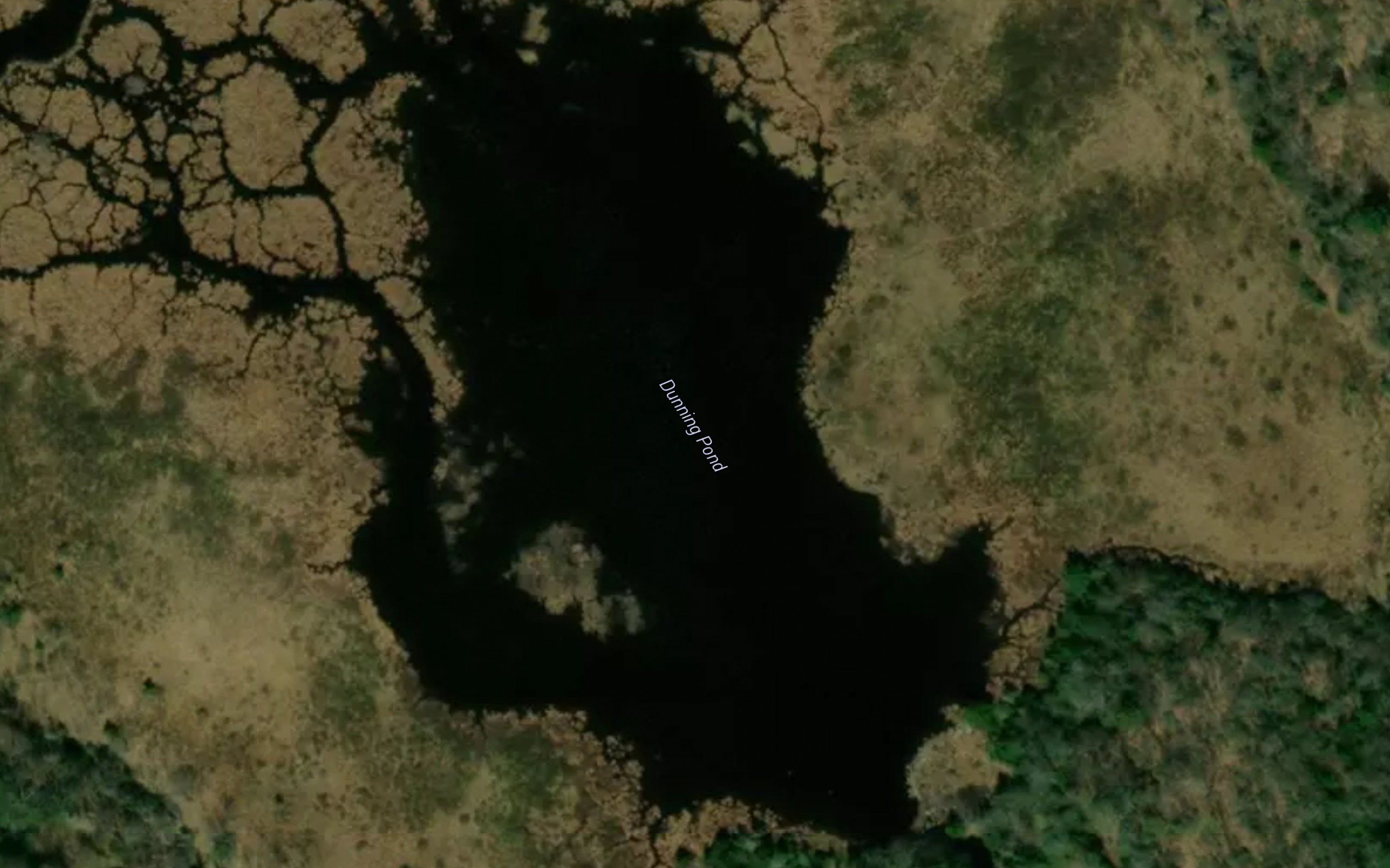 Dunning Pond
