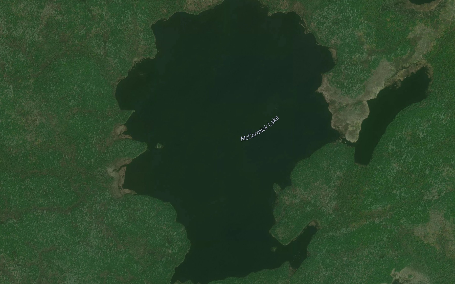 Satellite map of the McCormick Lake
